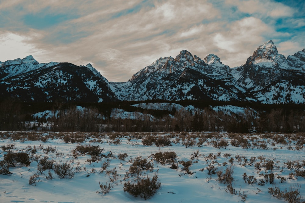 a snow covered field with mountains in the background