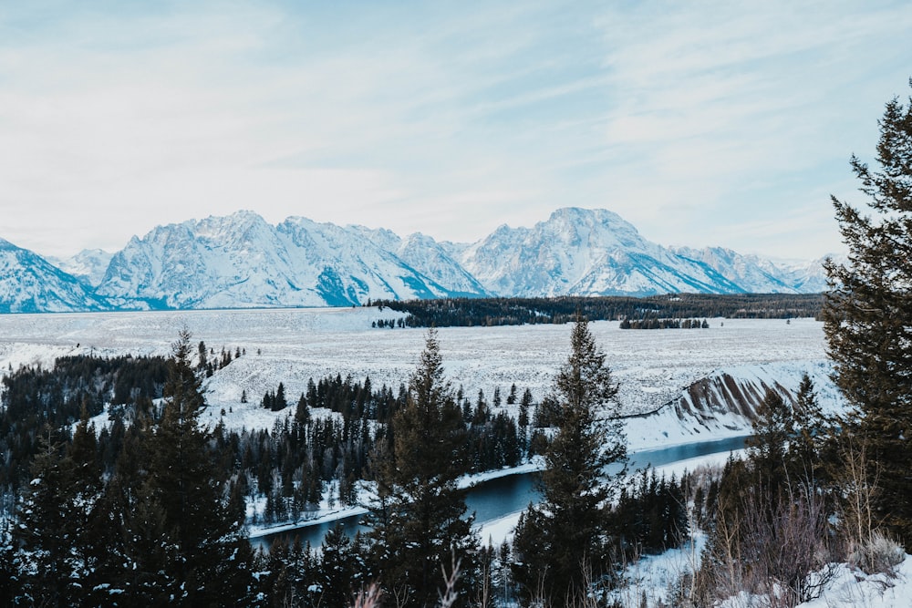 a snowy landscape with mountains in the background