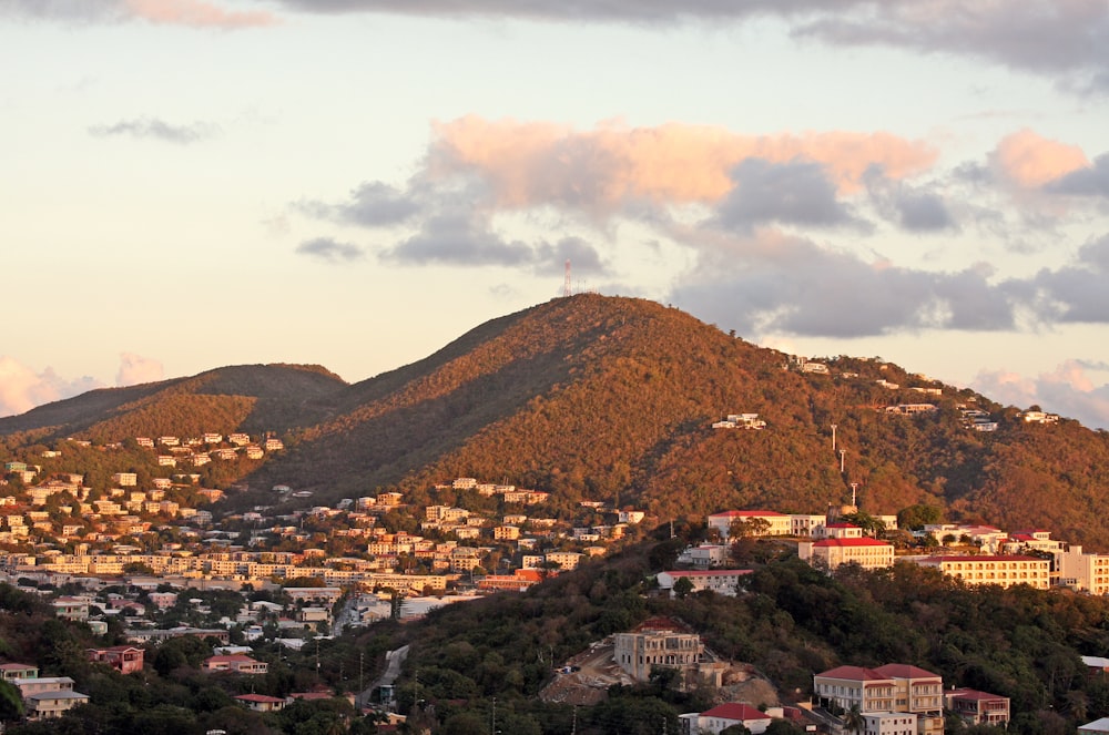 a view of a city with a mountain in the background