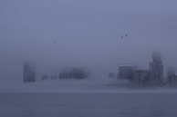 A hauntingly beautiful Seattle skyline shrouded in mist.