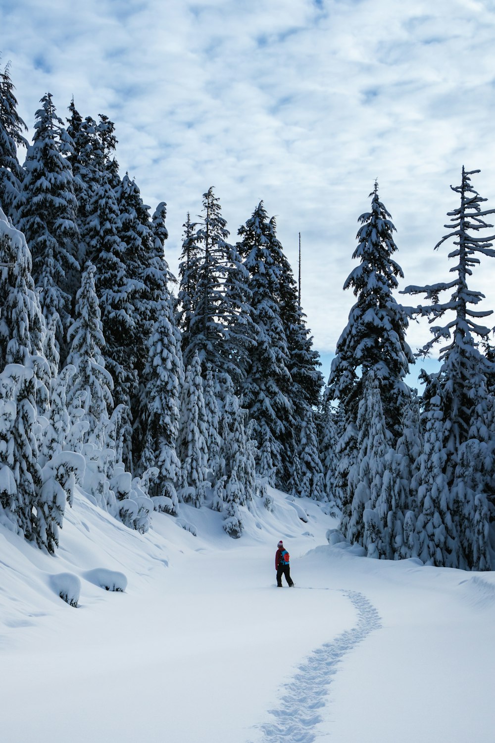 a person is skiing down a snowy path