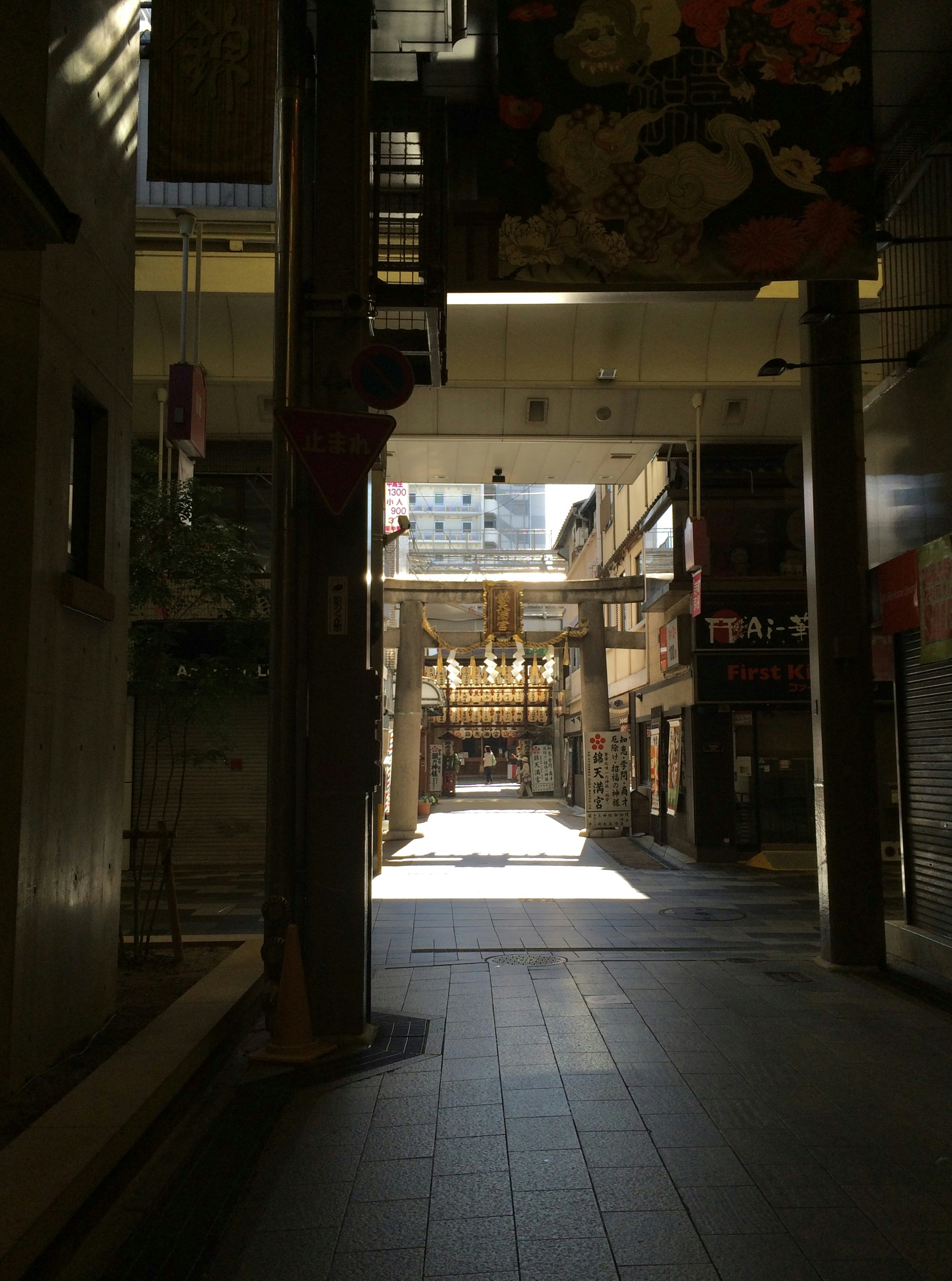 Photo by sayakaganz22