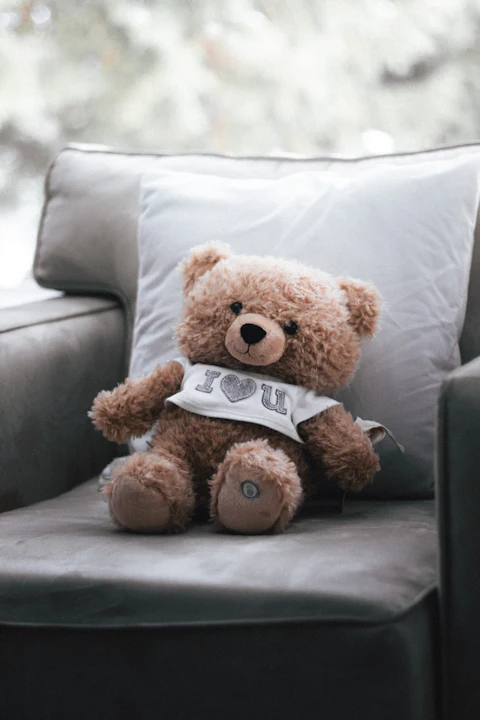 Cuddly Teddy, Grey