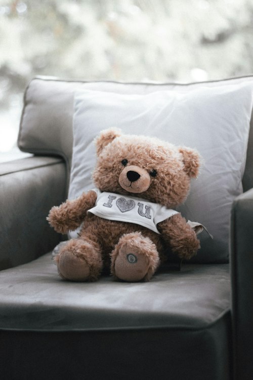 Soft Toy & Book Hamper (For Kids)