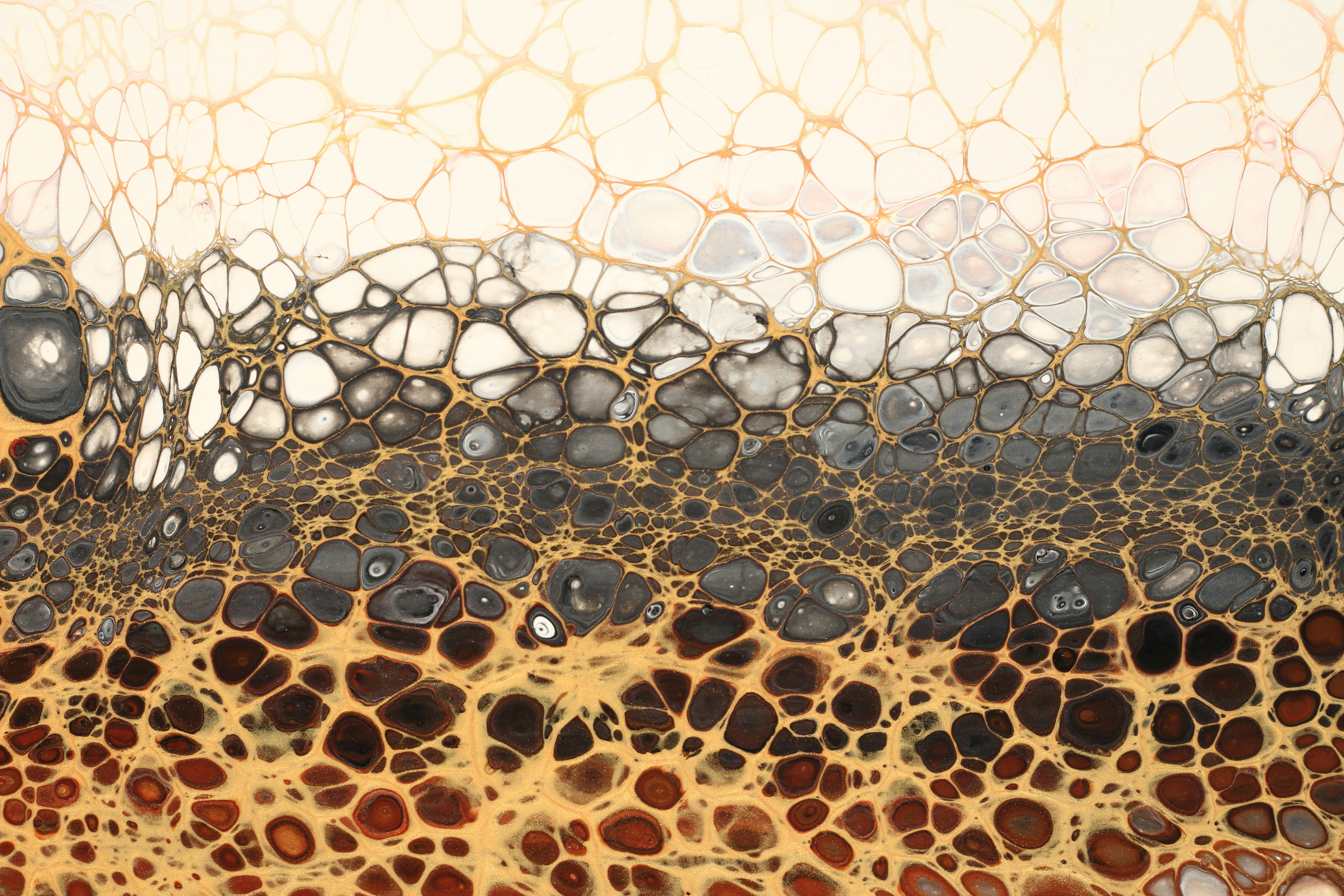 Photo by susan_wilkinson