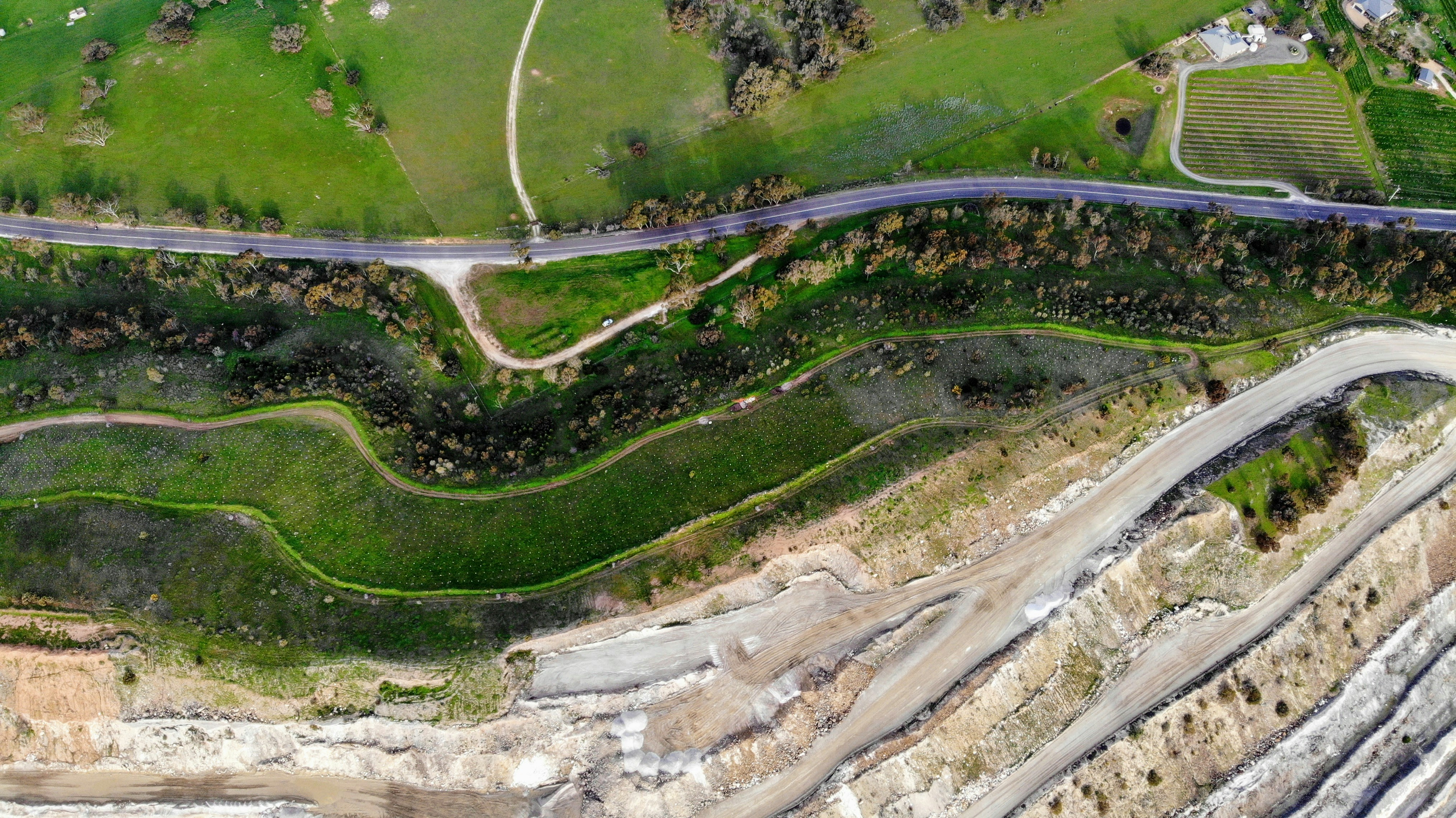 Photo by dionbeetson