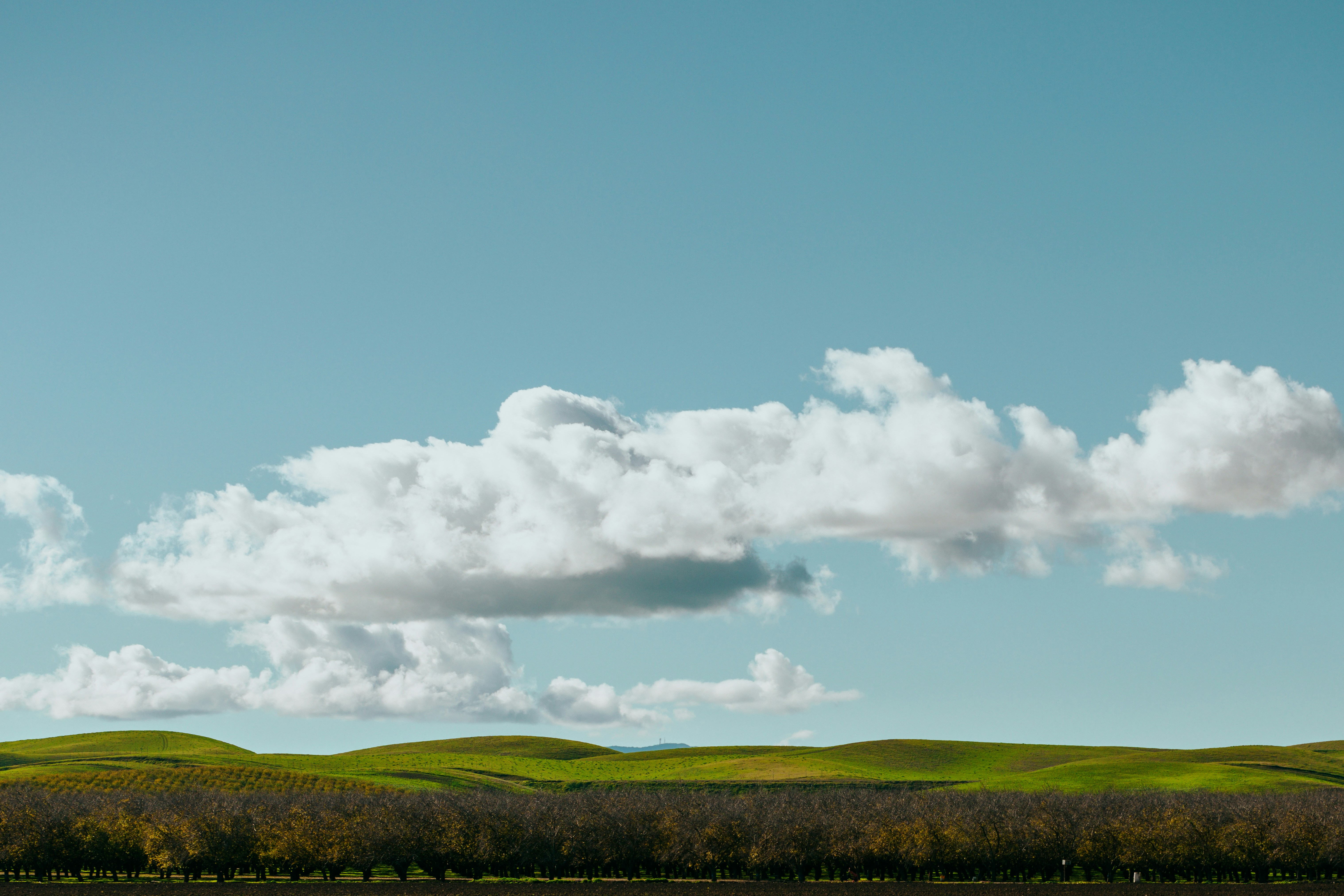 Photo by nate_dumlao