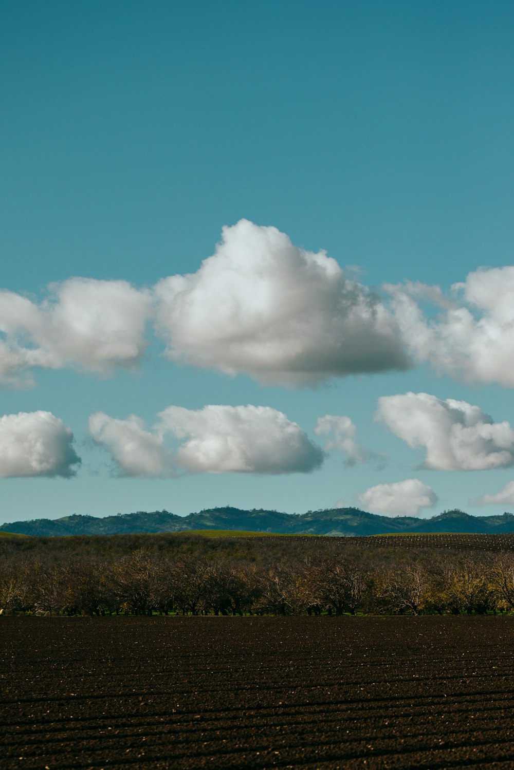 a plowed field under a blue sky with clouds