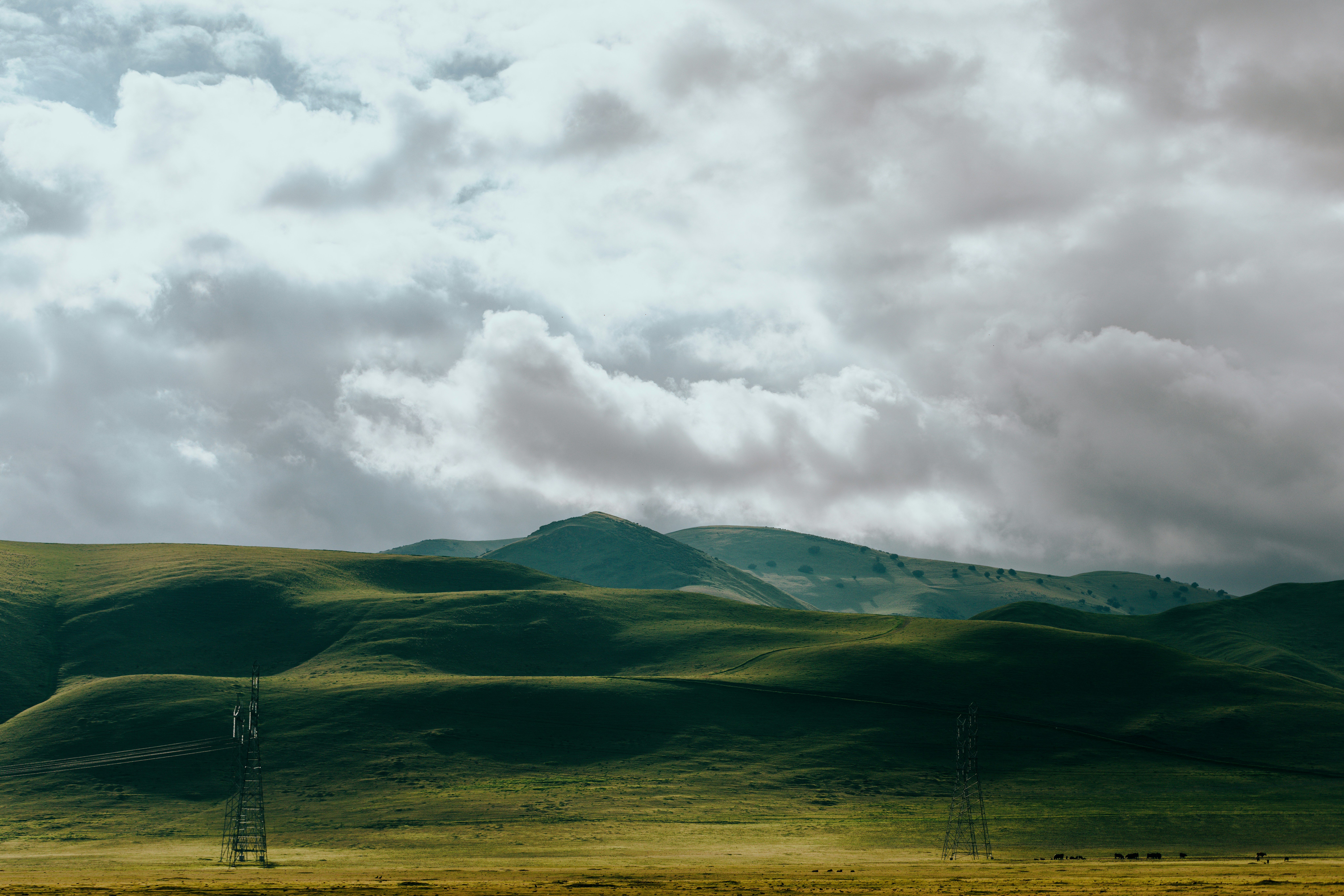 Photo by nate_dumlao