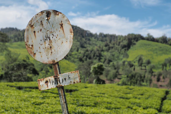 A rustic wooden sign with 'Whiskey Ridge' carved into it, set against a backdrop of rolling hills at sunset.