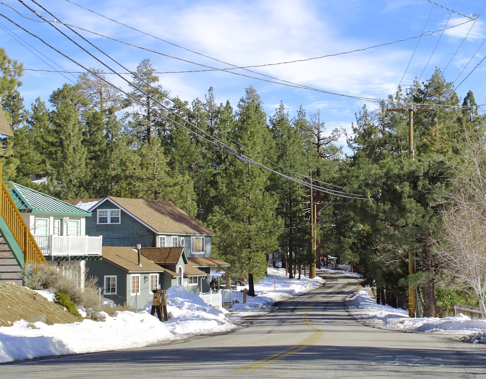 a street lined with houses and trees covered in snow