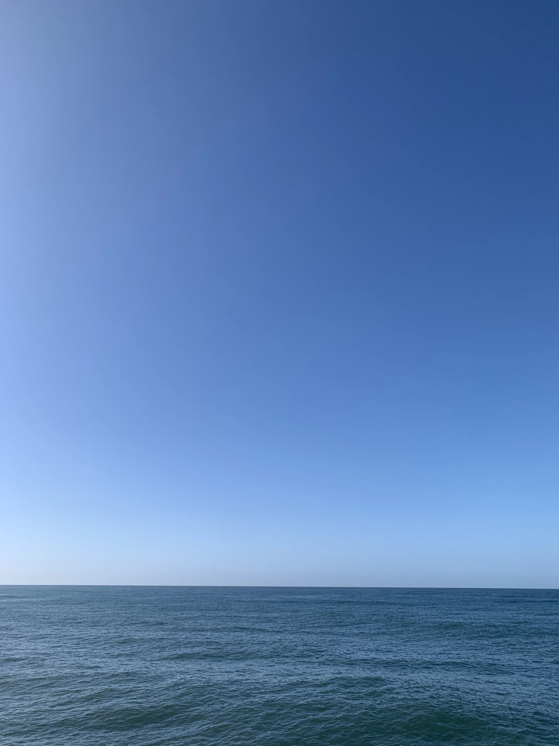 A wide shot of open blue waters meeting the horizon under a clear sky, evoking a sense of balance and tranquility.