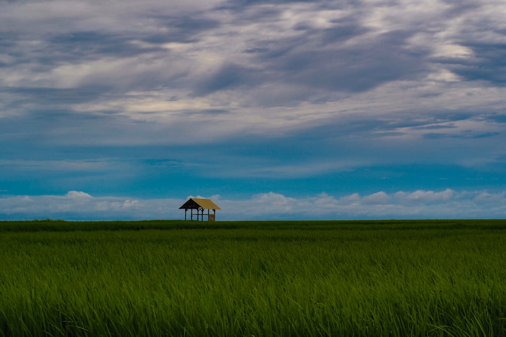 a house in the middle of a green field