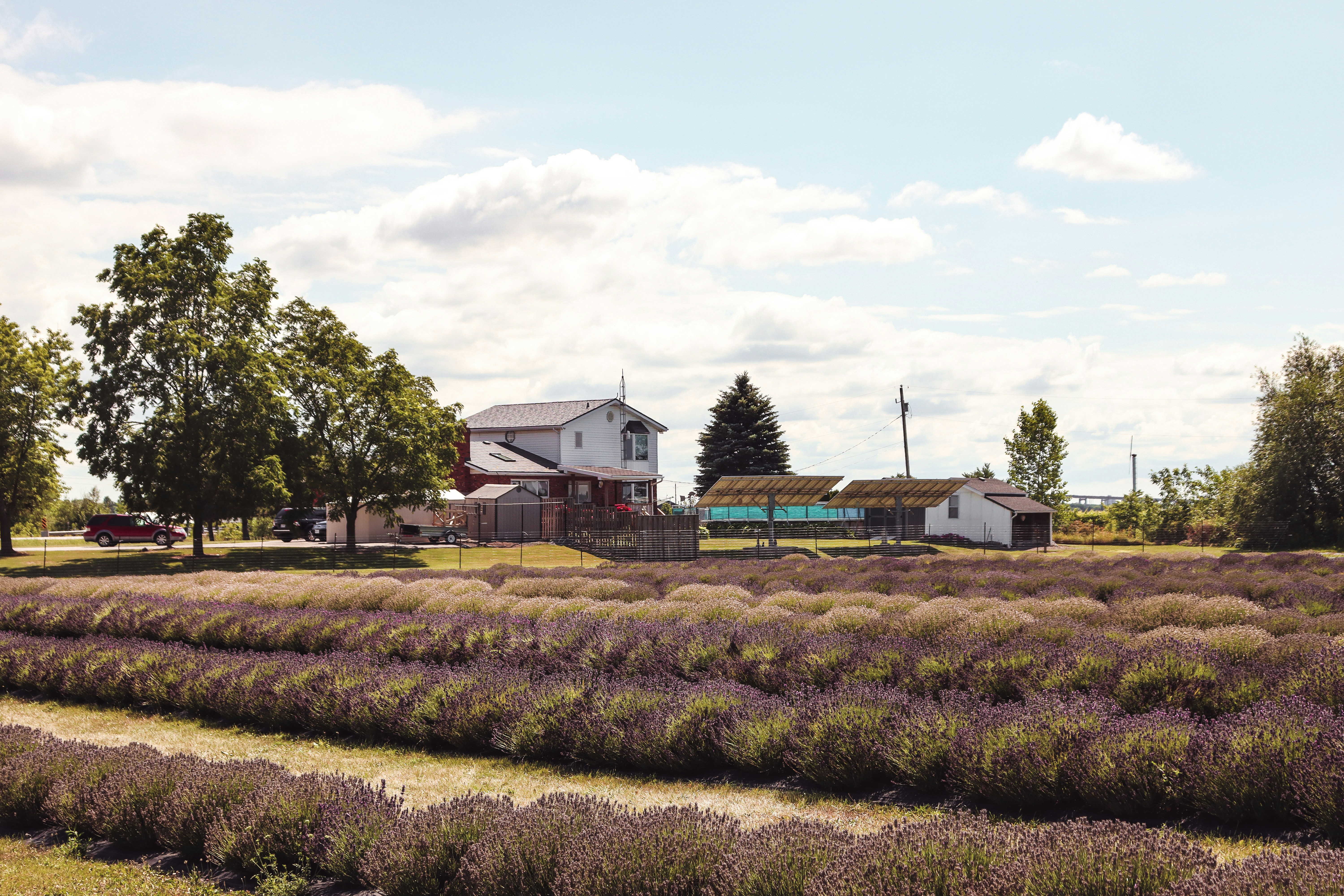 A futuristic view of Canada's agri-food sector