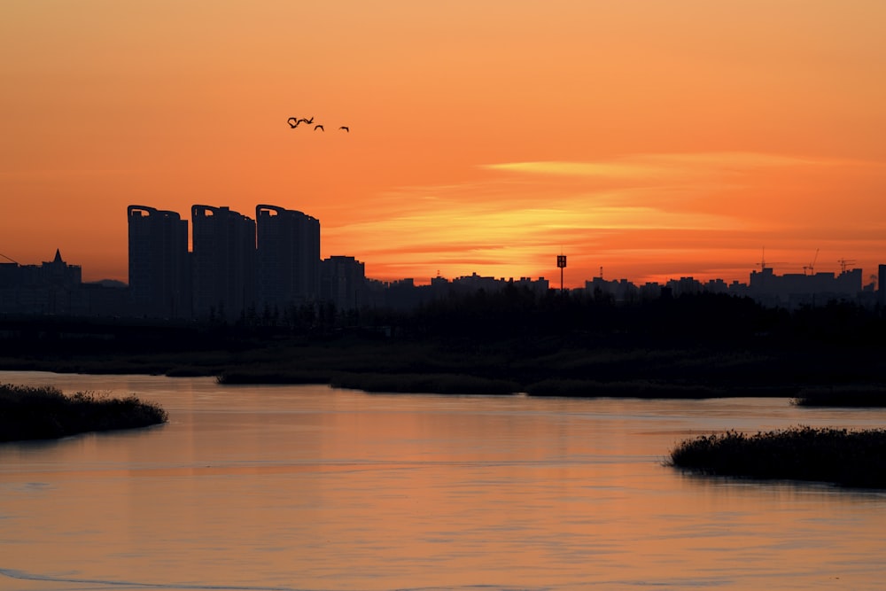 a body of water with a city in the background