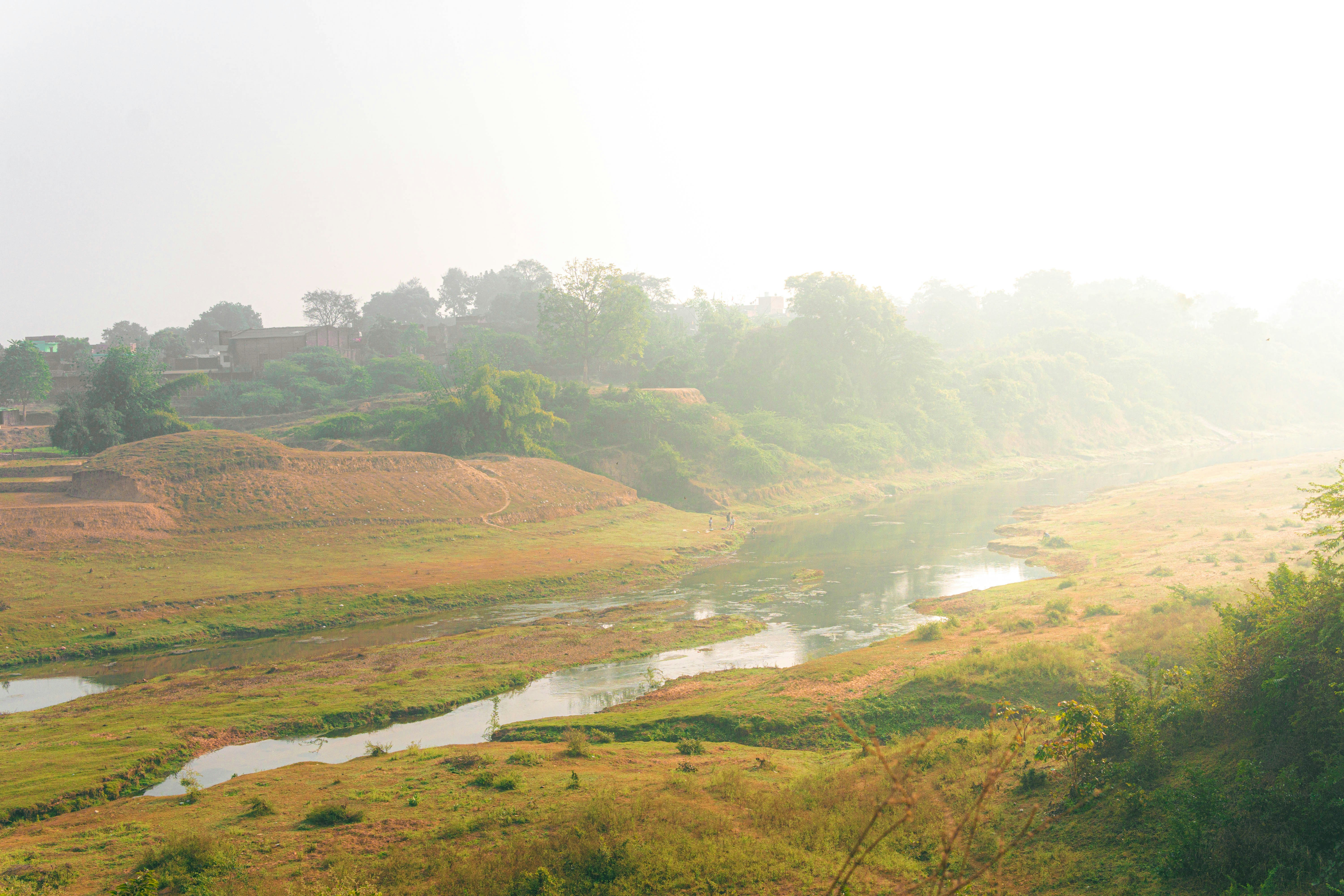 a river running through a lush green field