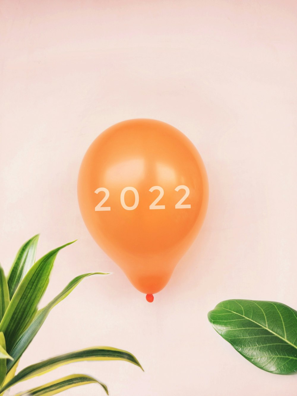a balloon with the number 2012 on it next to a potted plant