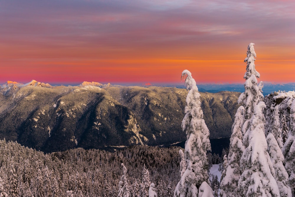 a view of the mountains and trees covered in snow