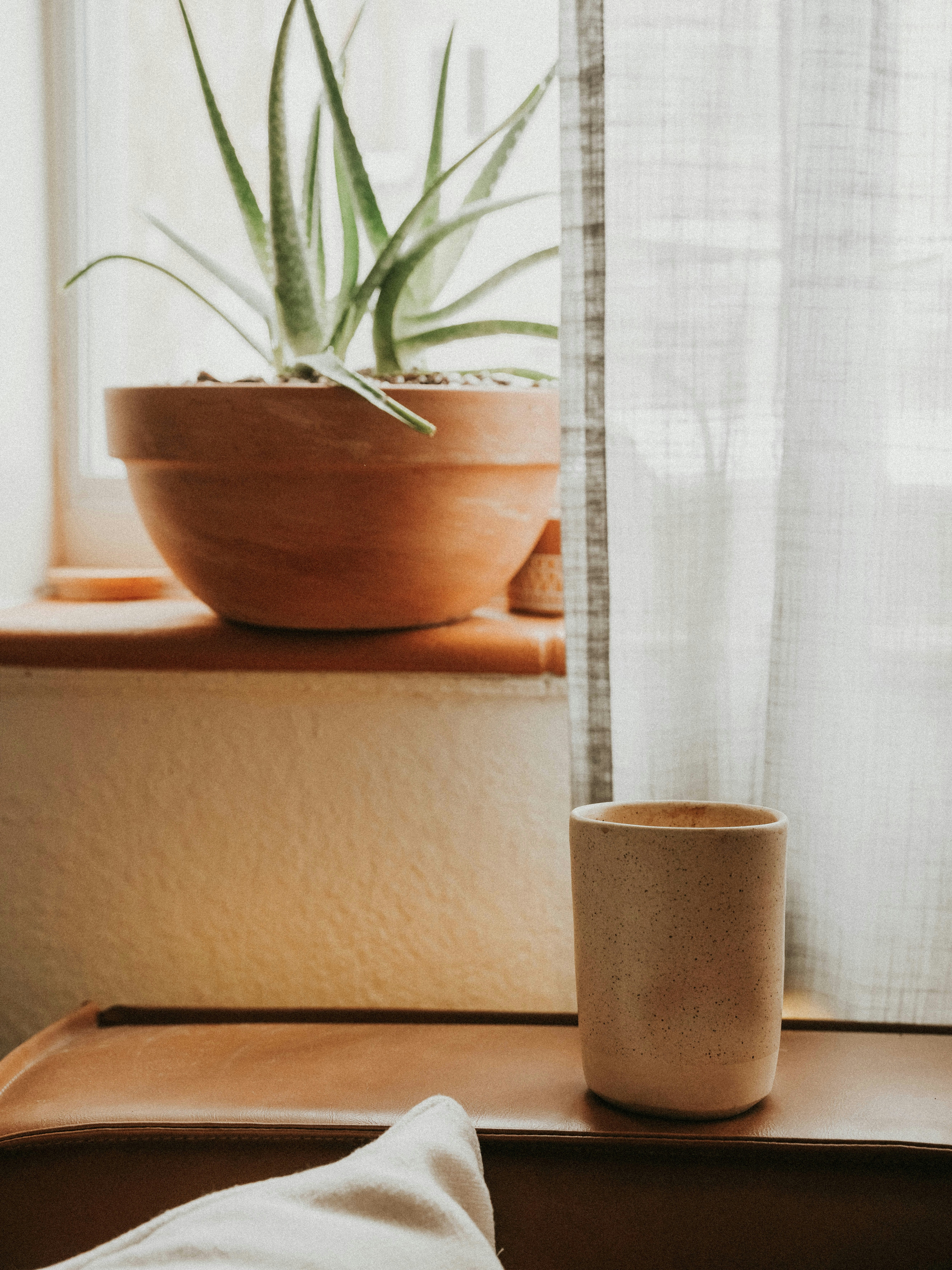 Photo by glennclaire