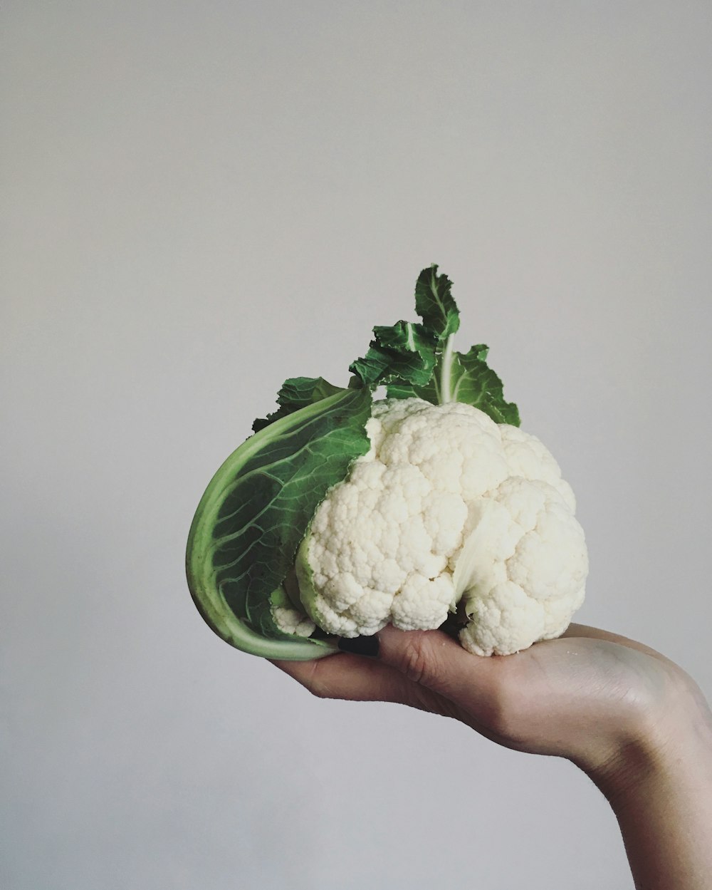 a person holding a piece of cauliflower in their hand