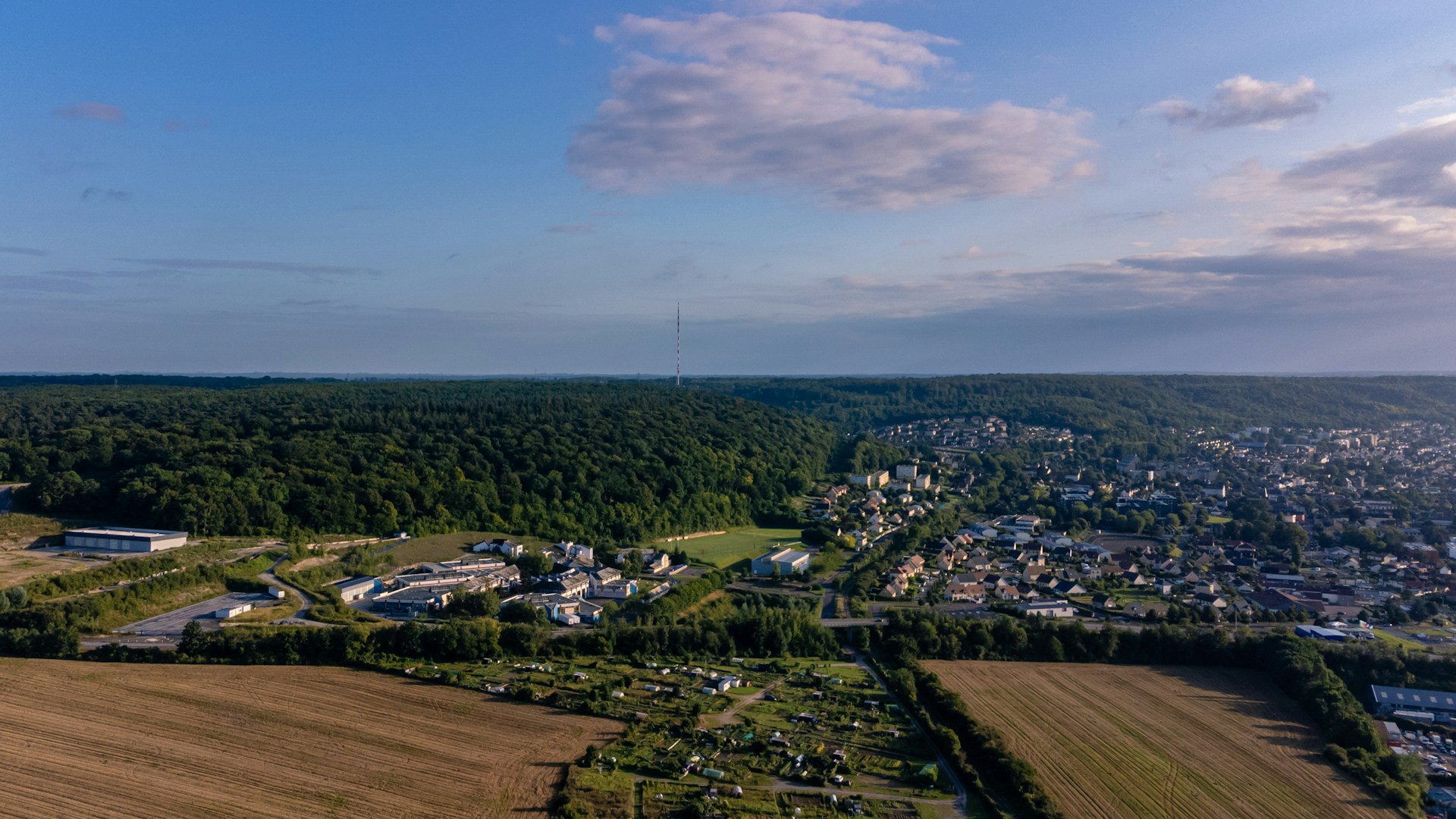 an aerial view of a town surrounded by trees