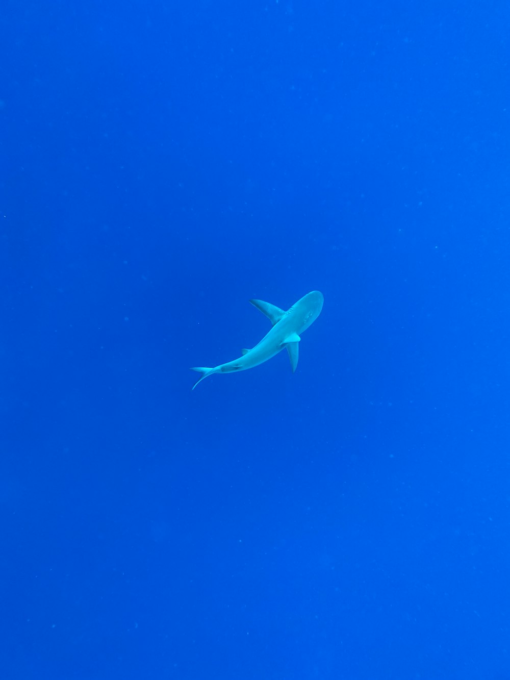 a large white airplane flying through a blue sky