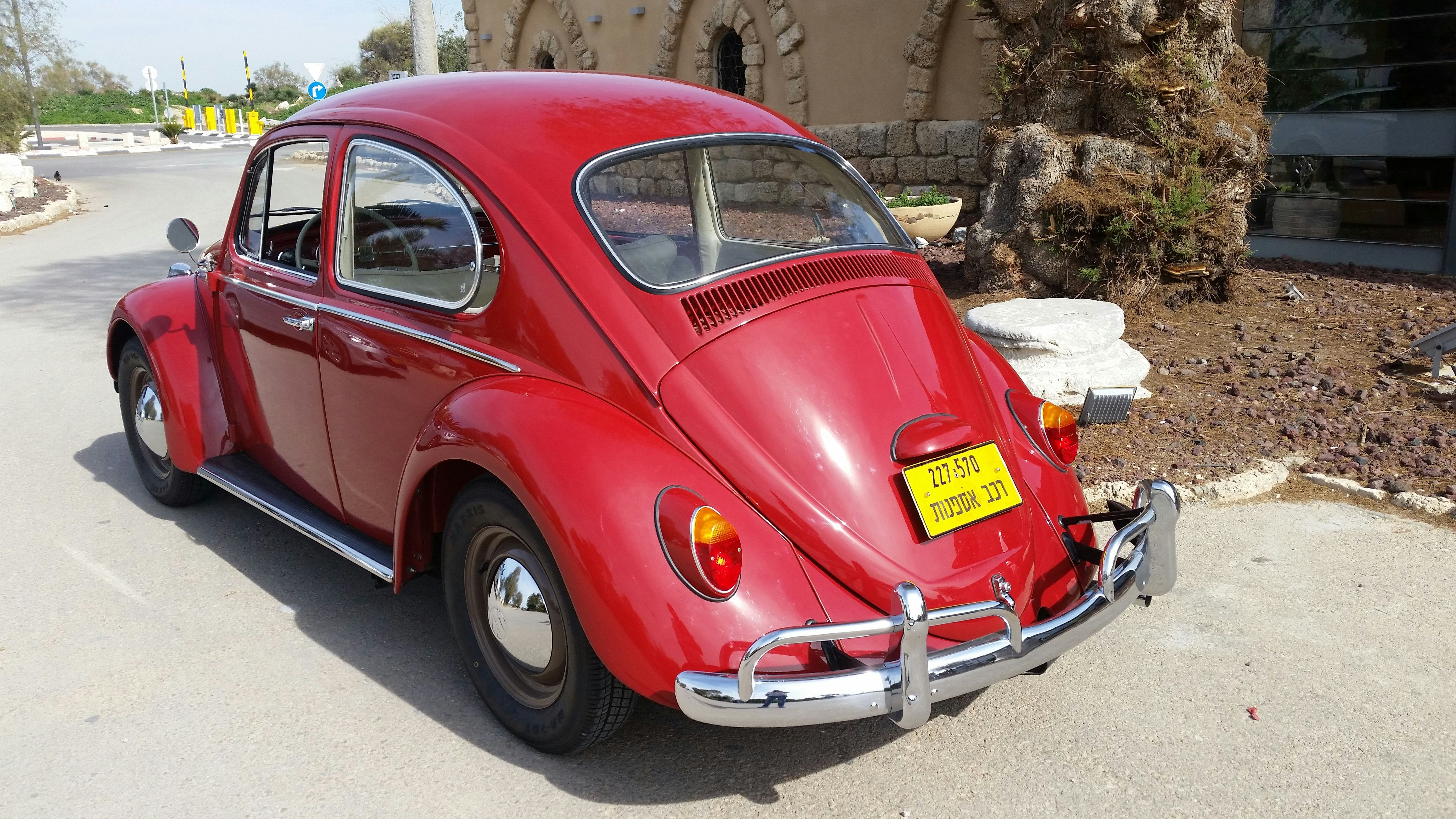 Photo by assafmeshar