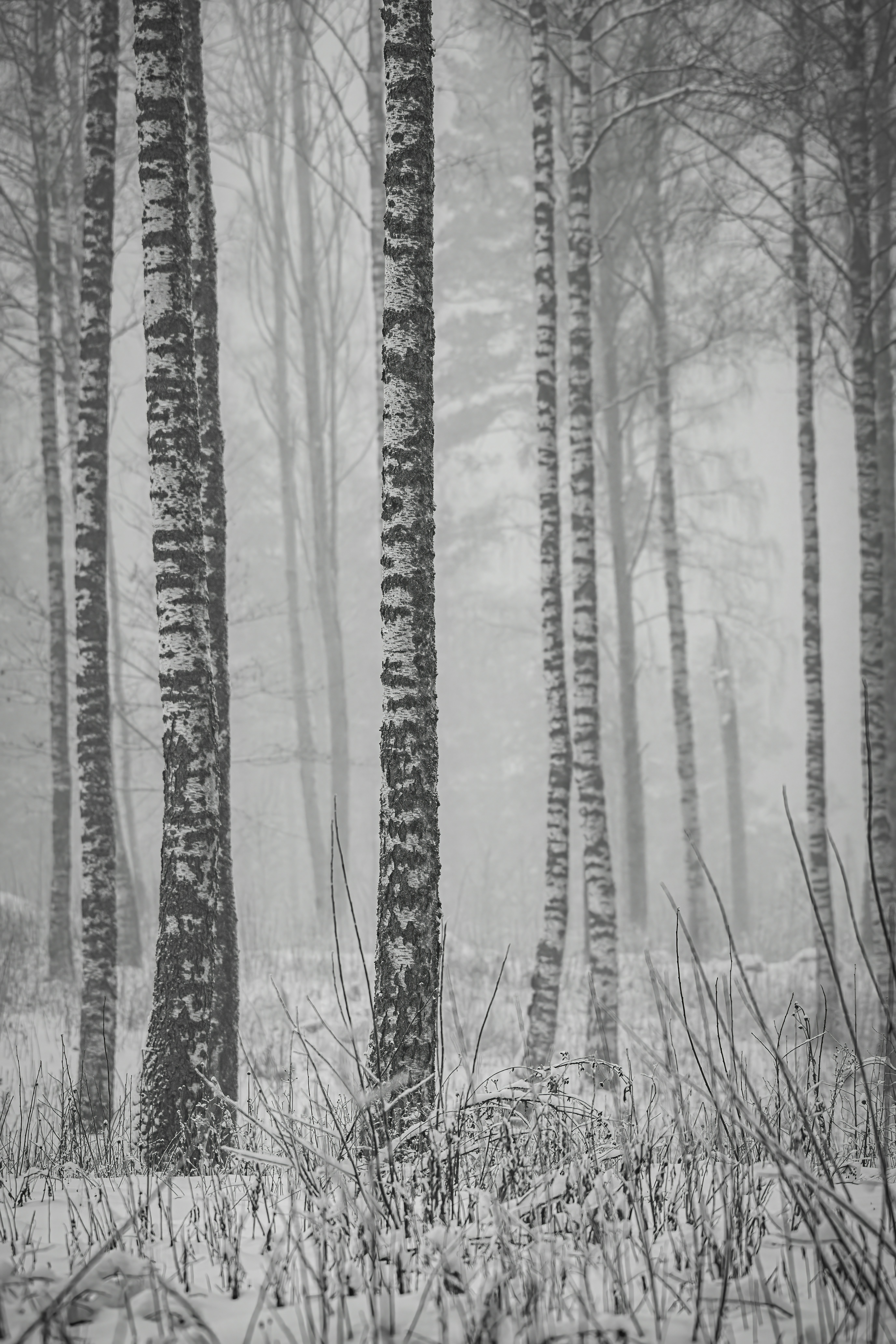 Photo by kjelljostein