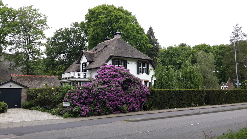 a house with a thatched roof and purple flowers