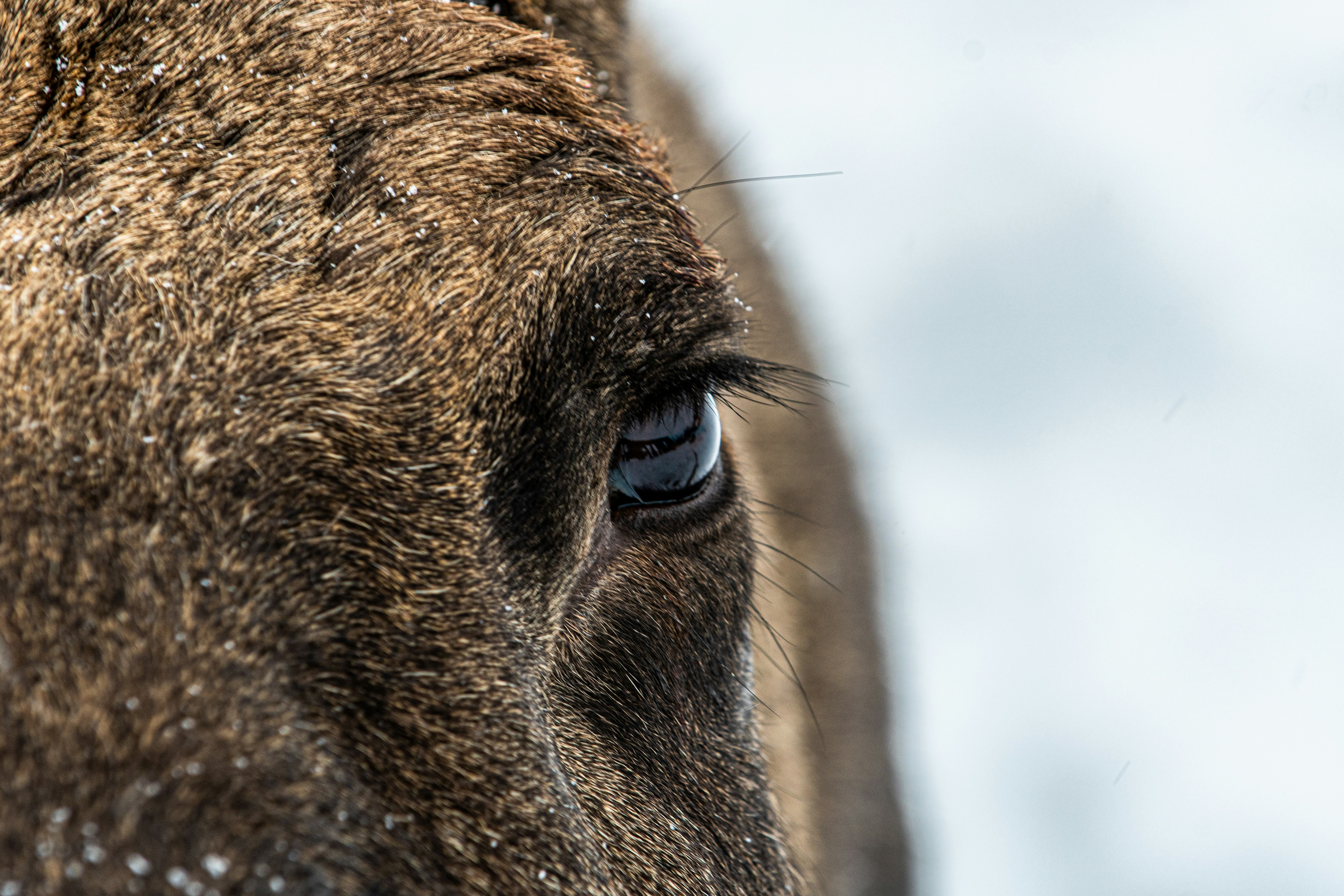 Photo by kjelljostein