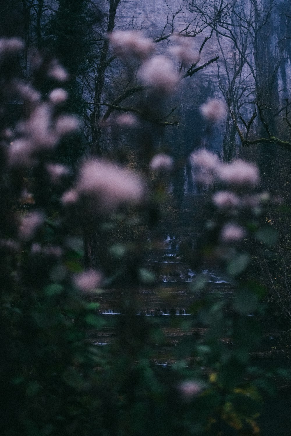 a blurry photo of a path in the woods