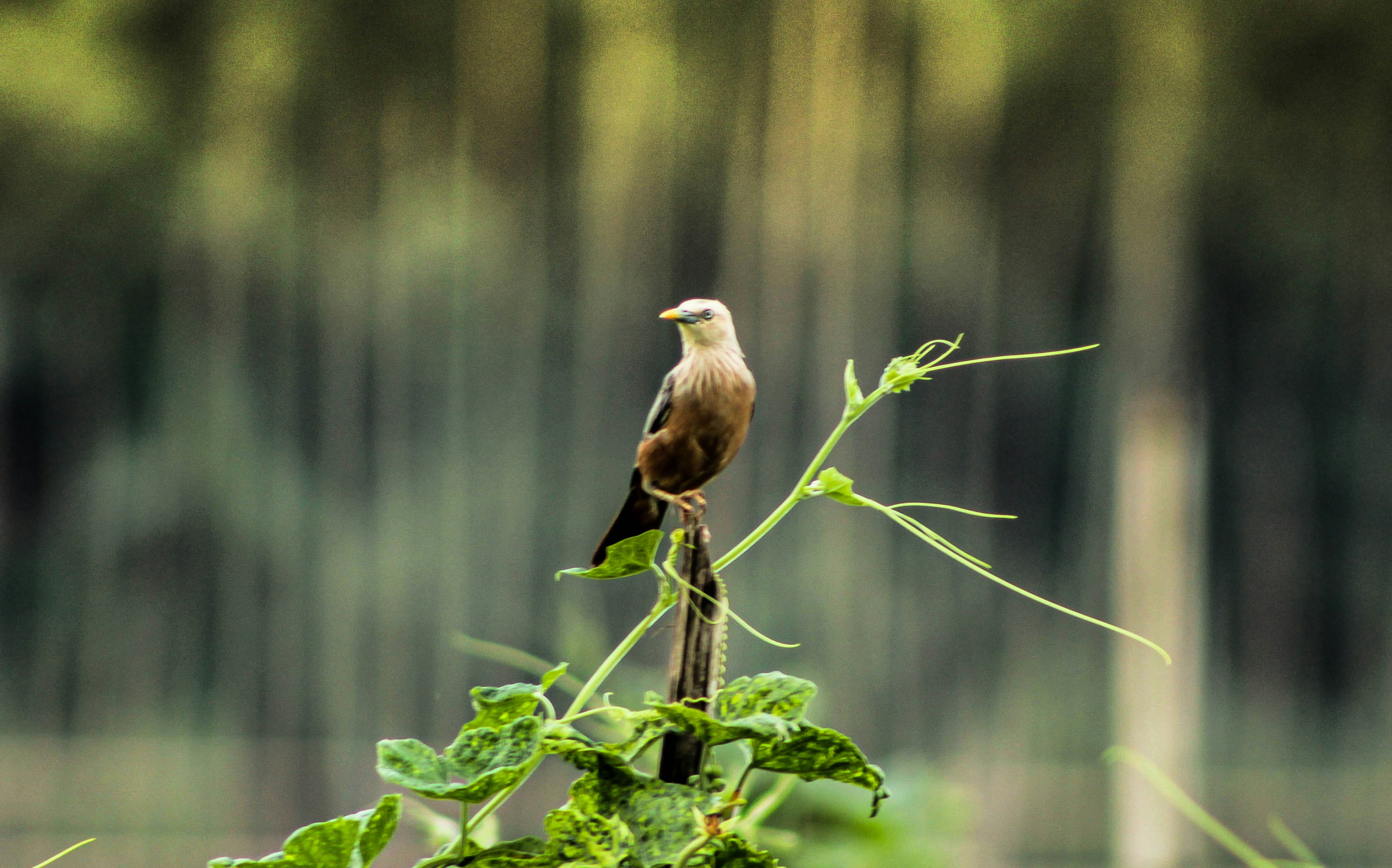 Photo by omerkhan1990