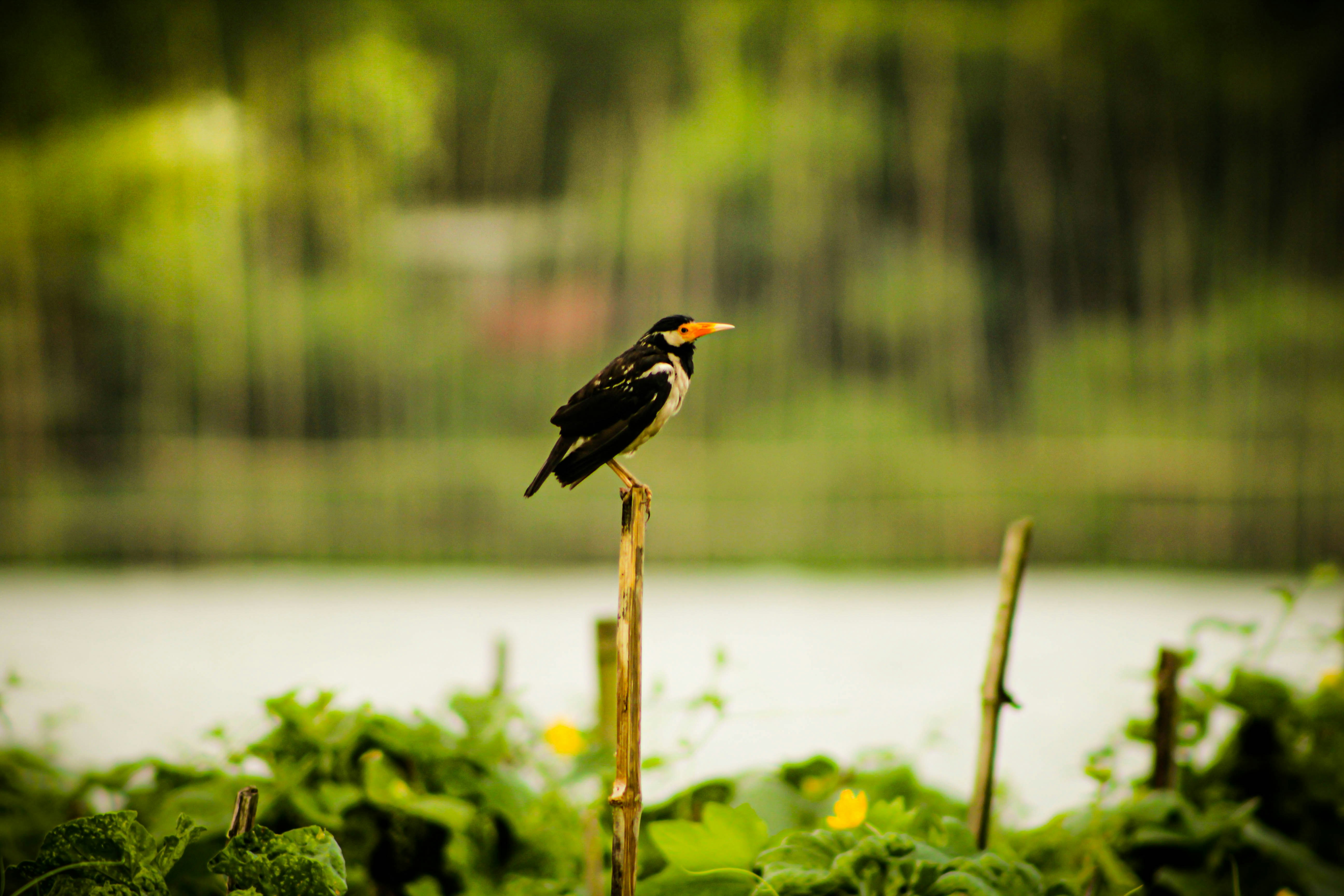 Photo by omerkhan1990