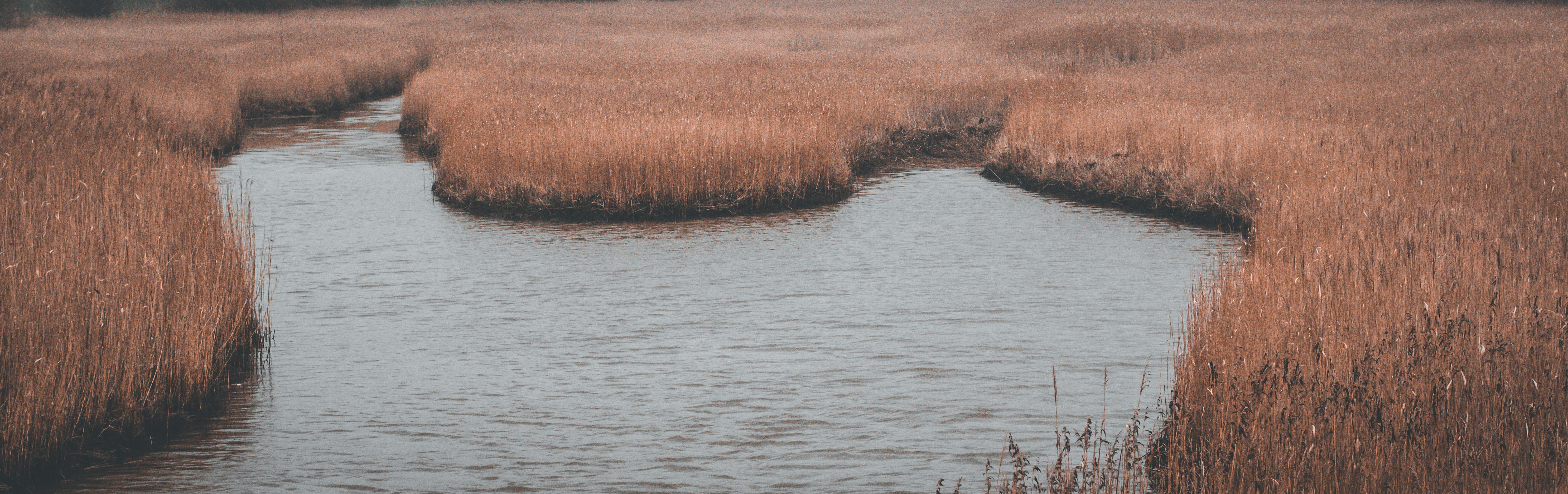 Photo by elliottmason