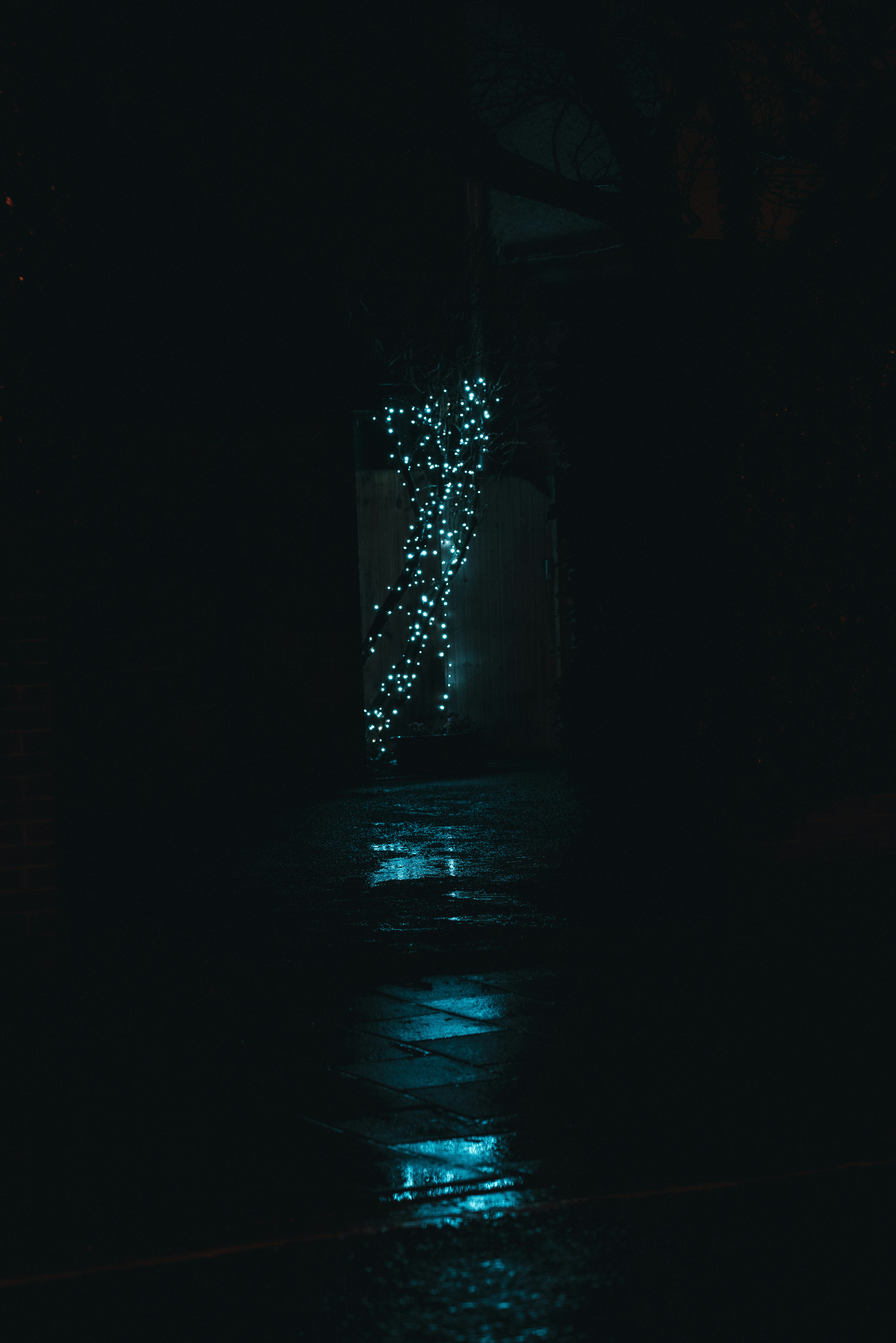 Photo by orangetiephotography