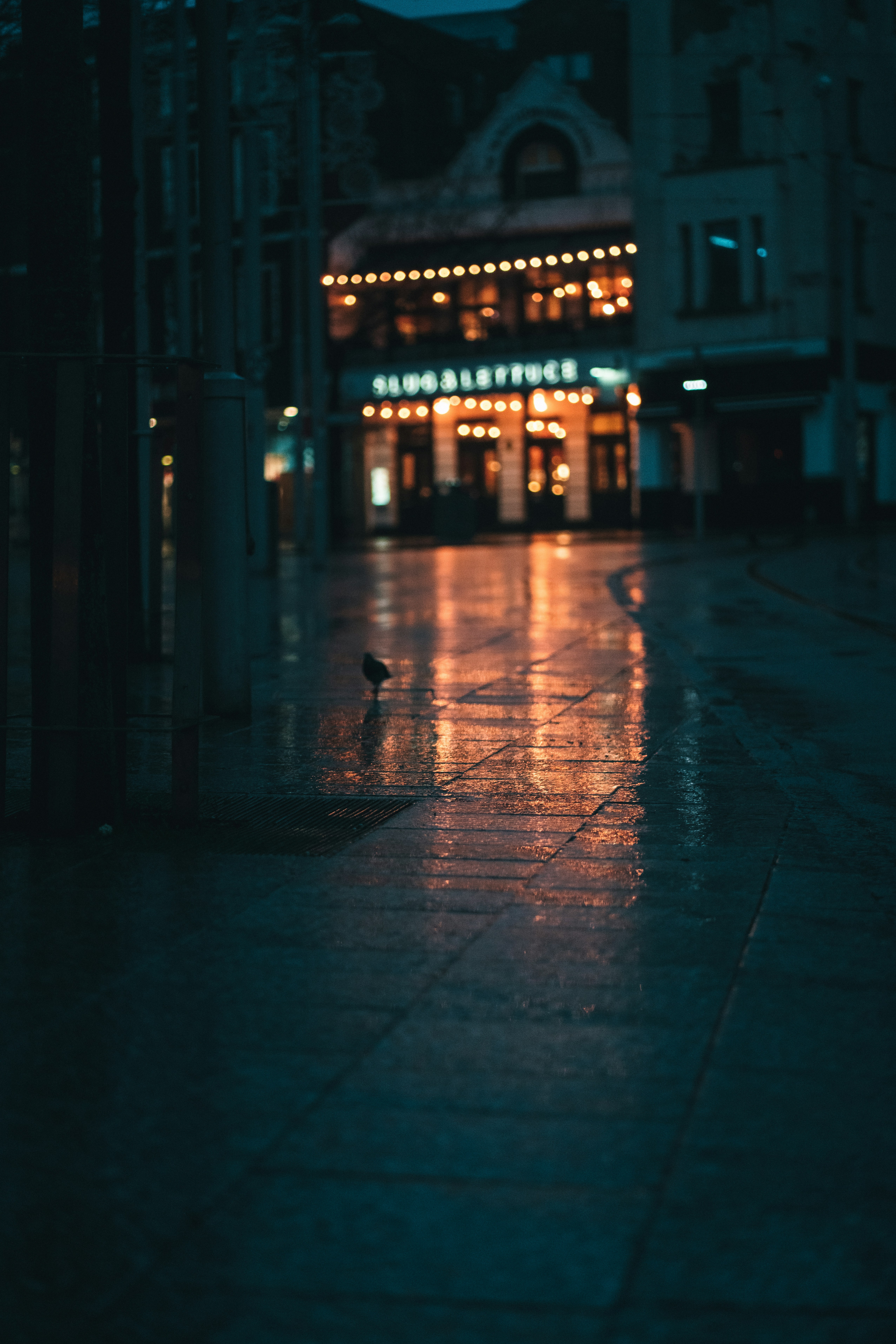 Photo by orangetiephotography