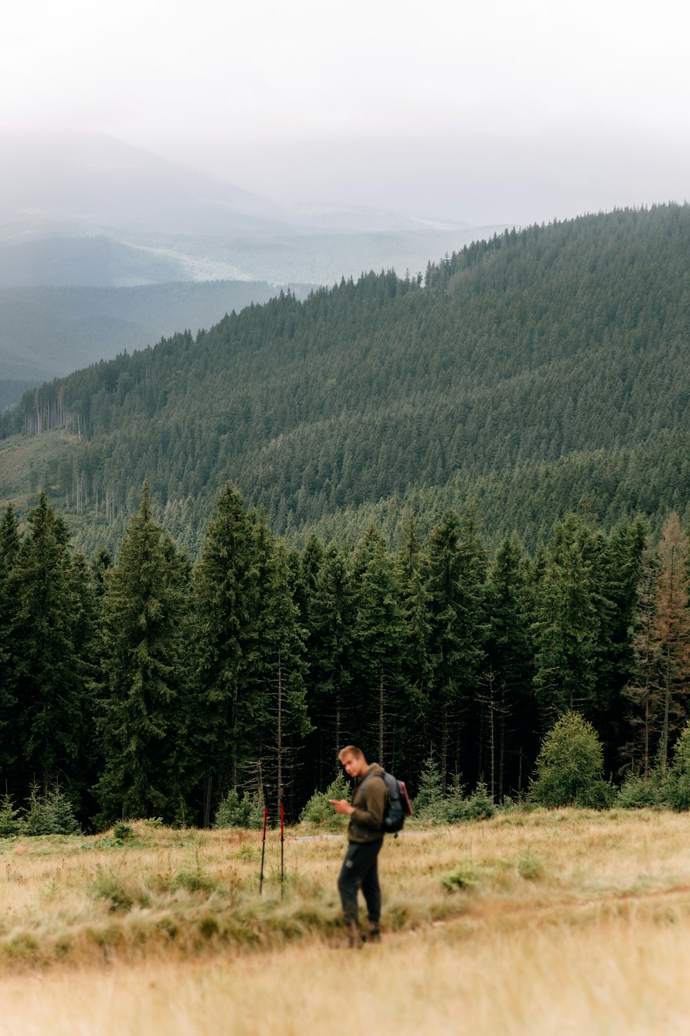 Un homme avec un sac à dos marchant dans un champ