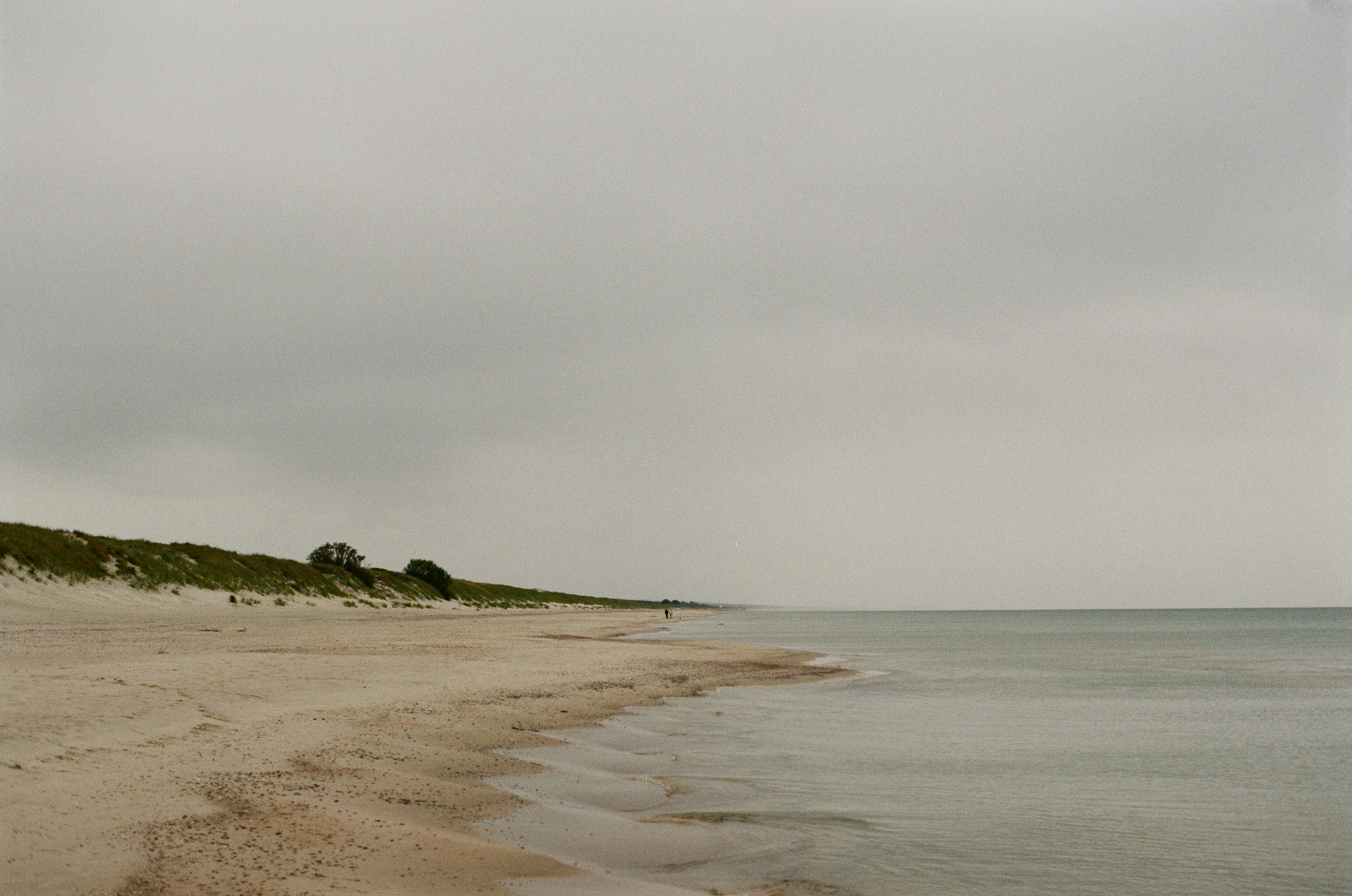 Photo by saimonasmureika