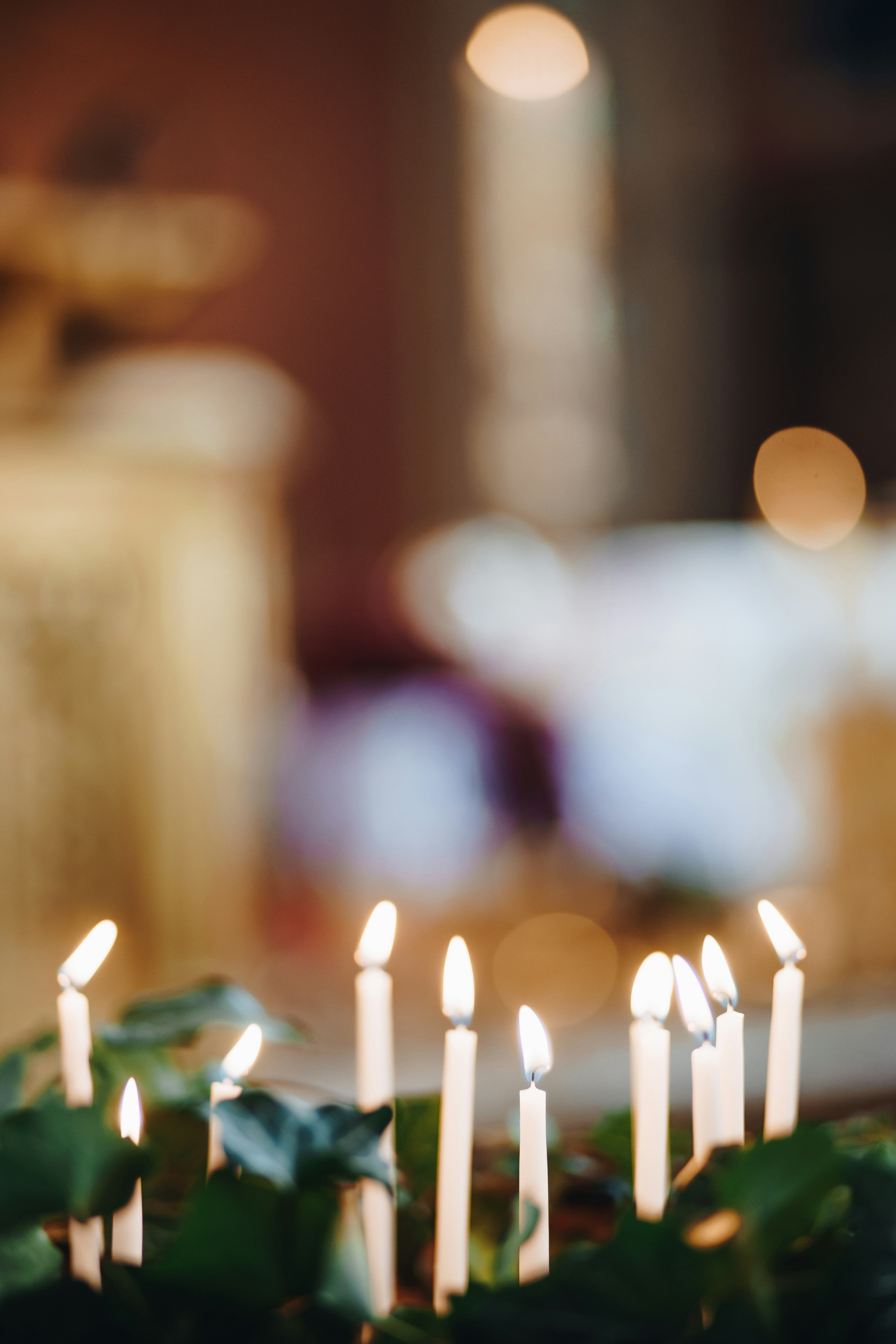 Photo by alexander_kaufmann