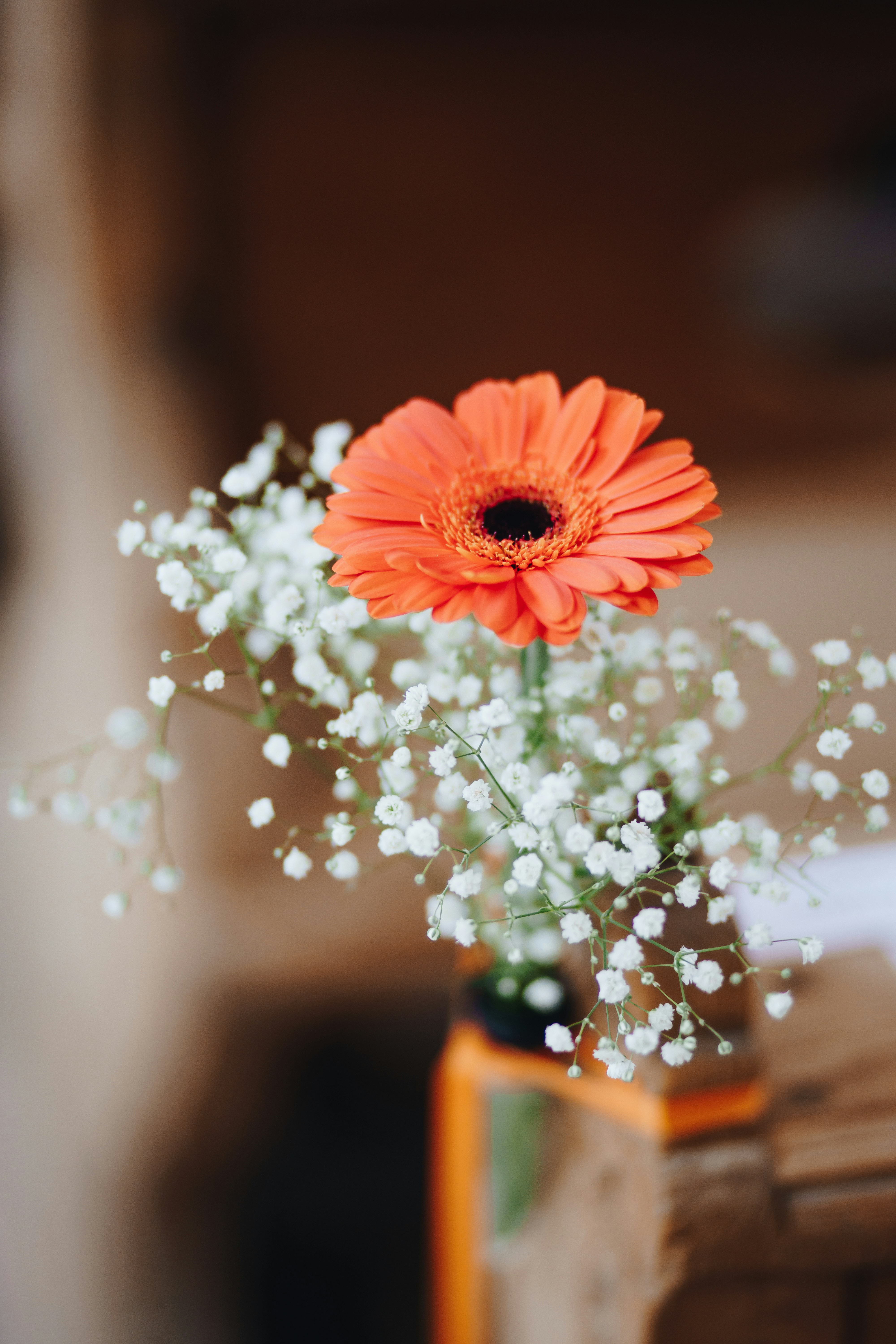 Photo by alexander_kaufmann