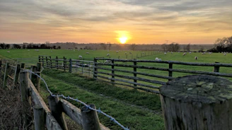 A peaceful sunrise over a quiet countryside, symbolizing new beginnings in health and faith.