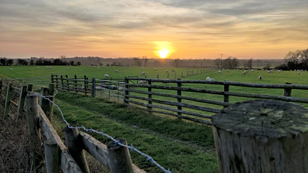 A peaceful sunrise over a quiet countryside, symbolizing new beginnings in health and faith.
