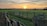 A peaceful sunrise over the ranch’s wide-open fields with a rustic wooden fence in the foreground.
