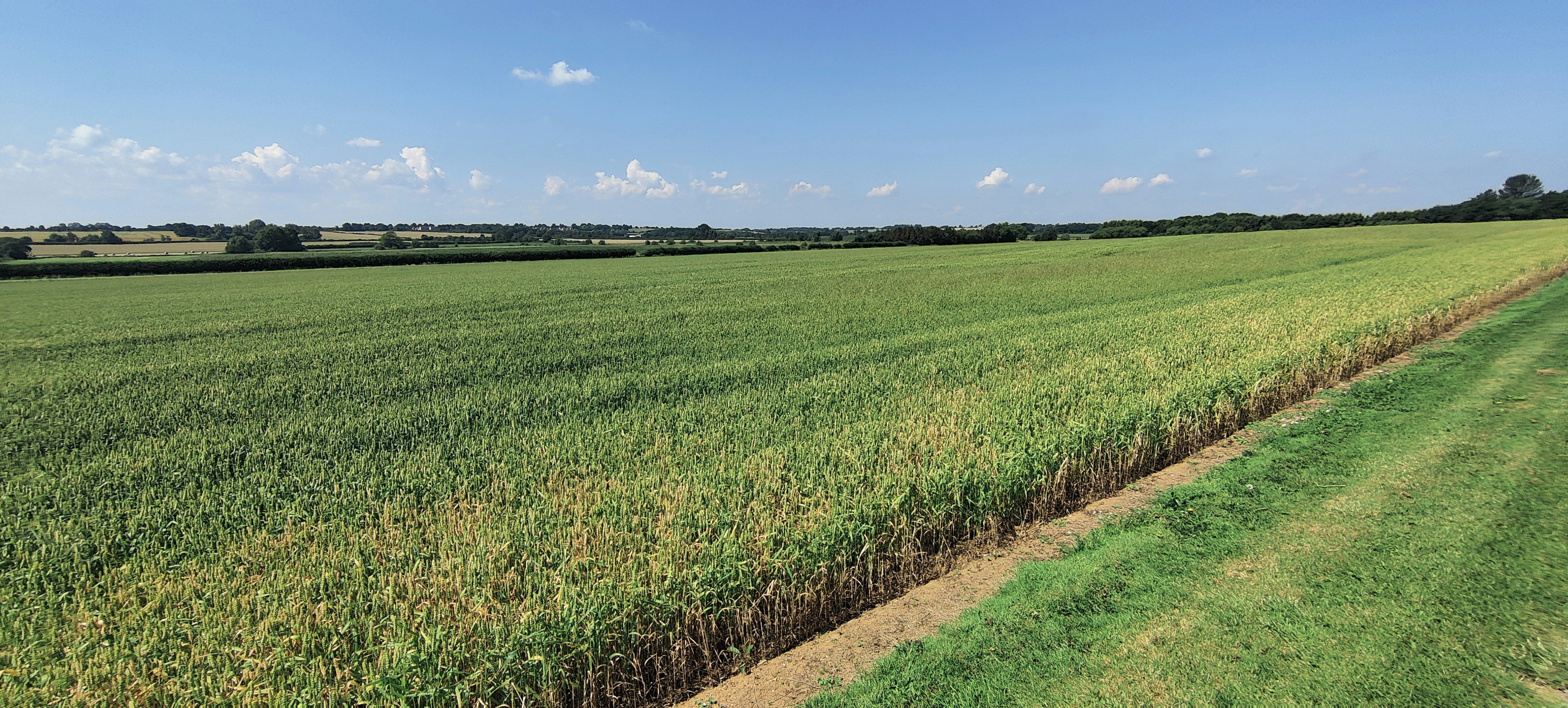 Photo by magicnachoman