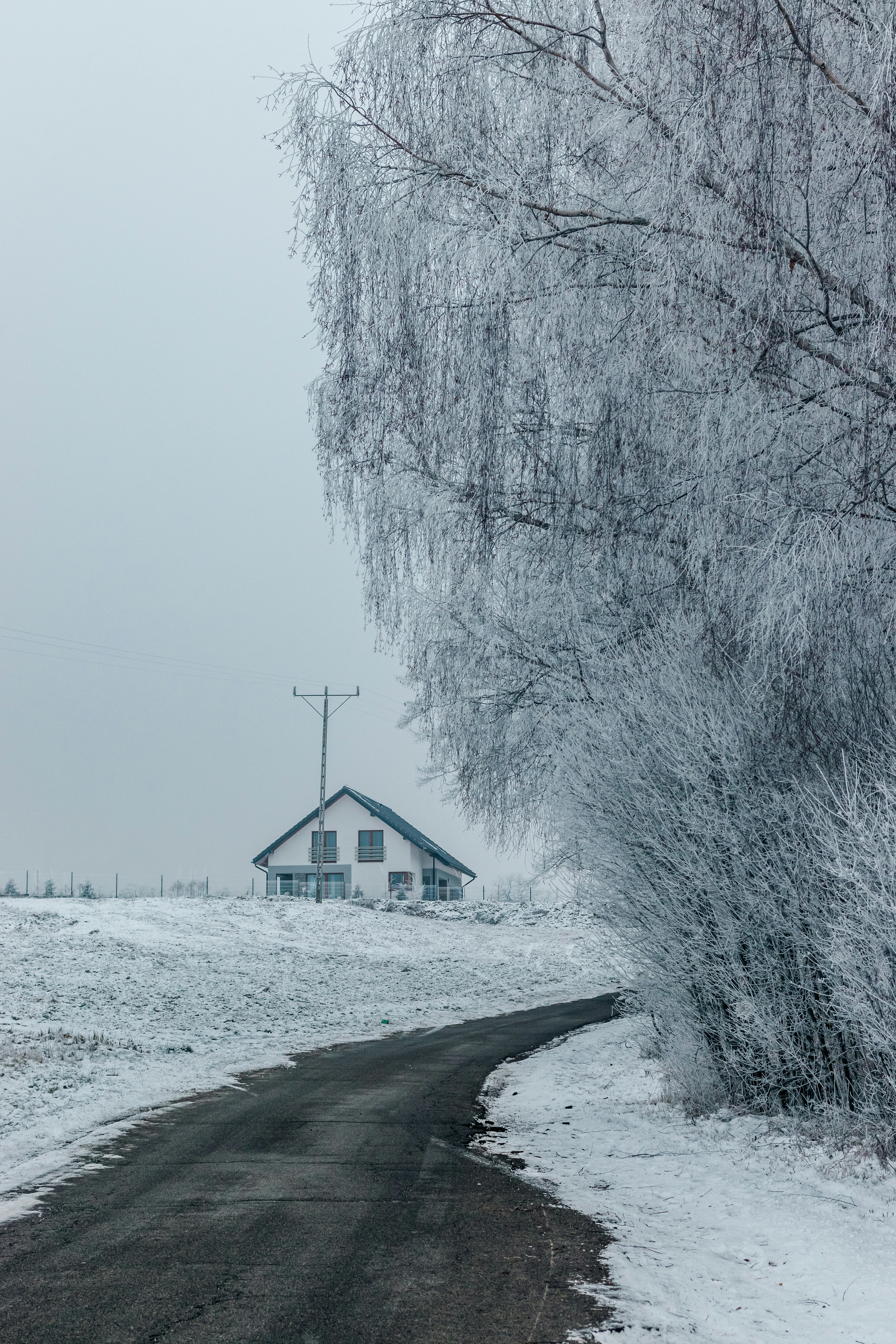 Photo by jakubpabis
