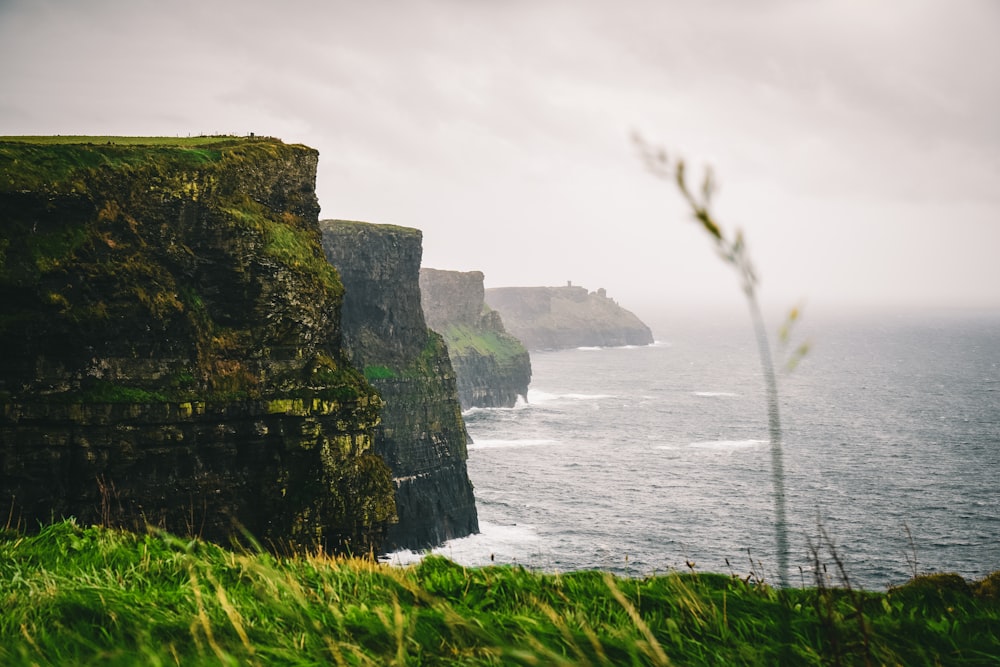 a grassy field next to a cliff near the ocean