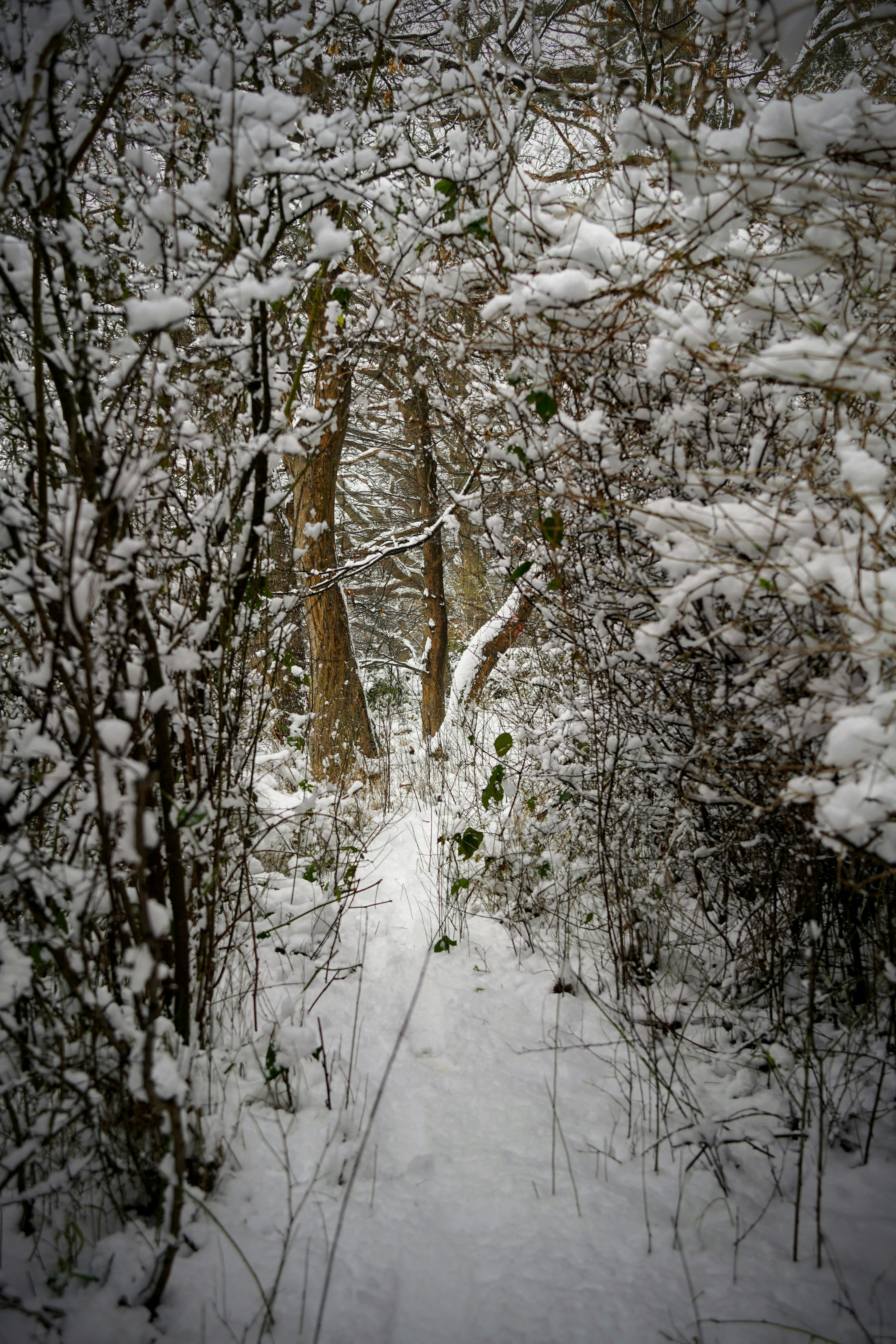 Photo by danielschuh