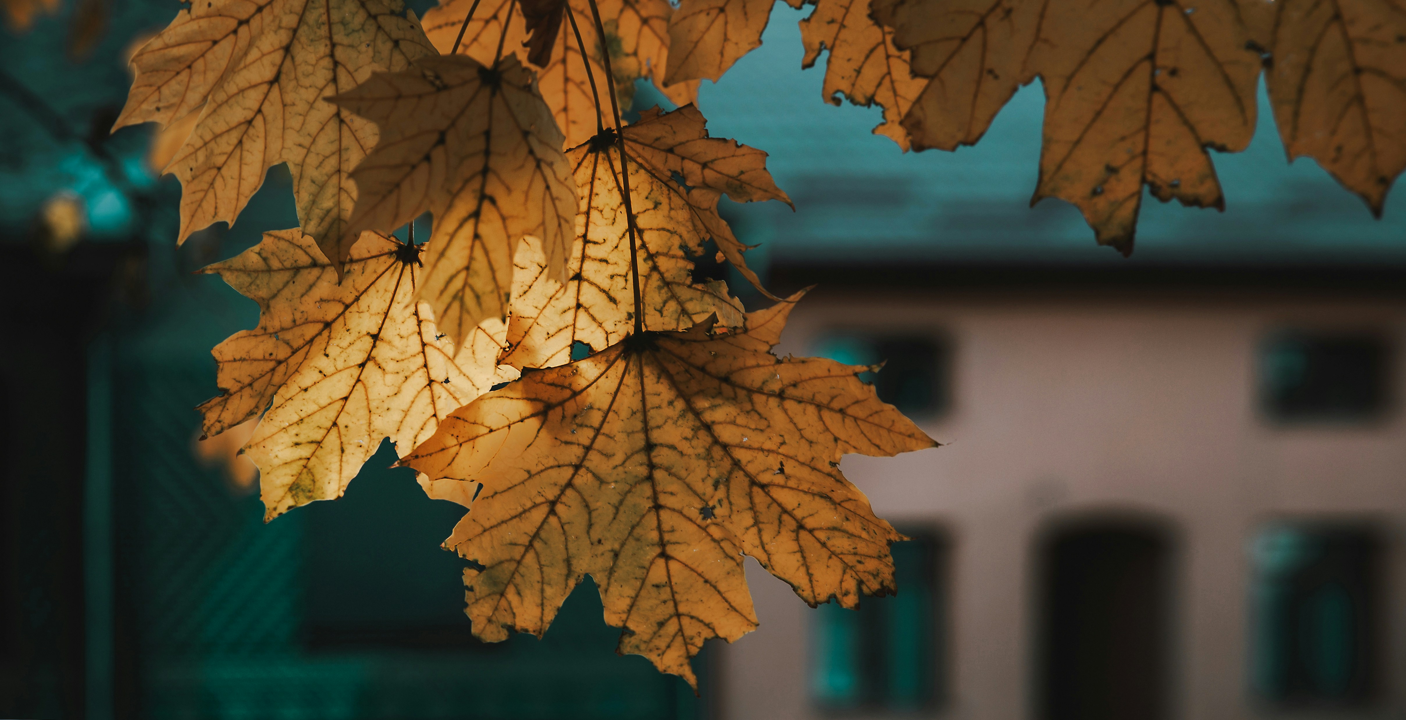 Photo by sylvester_s