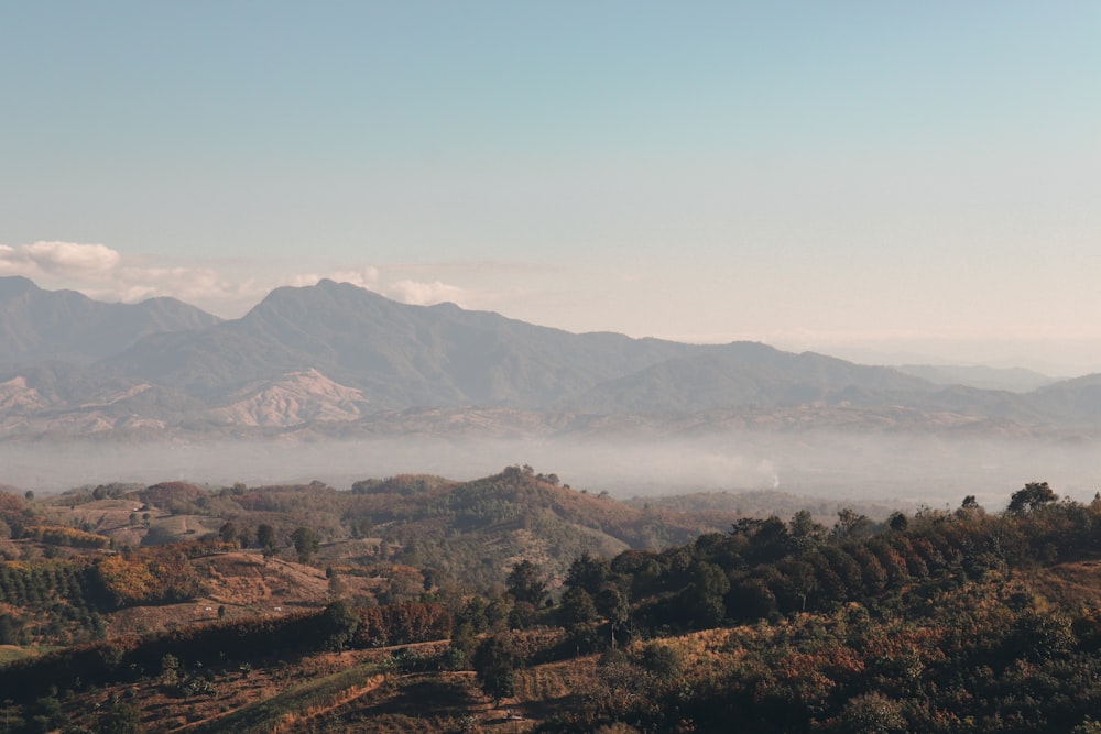 a view of a mountain range covered in fog