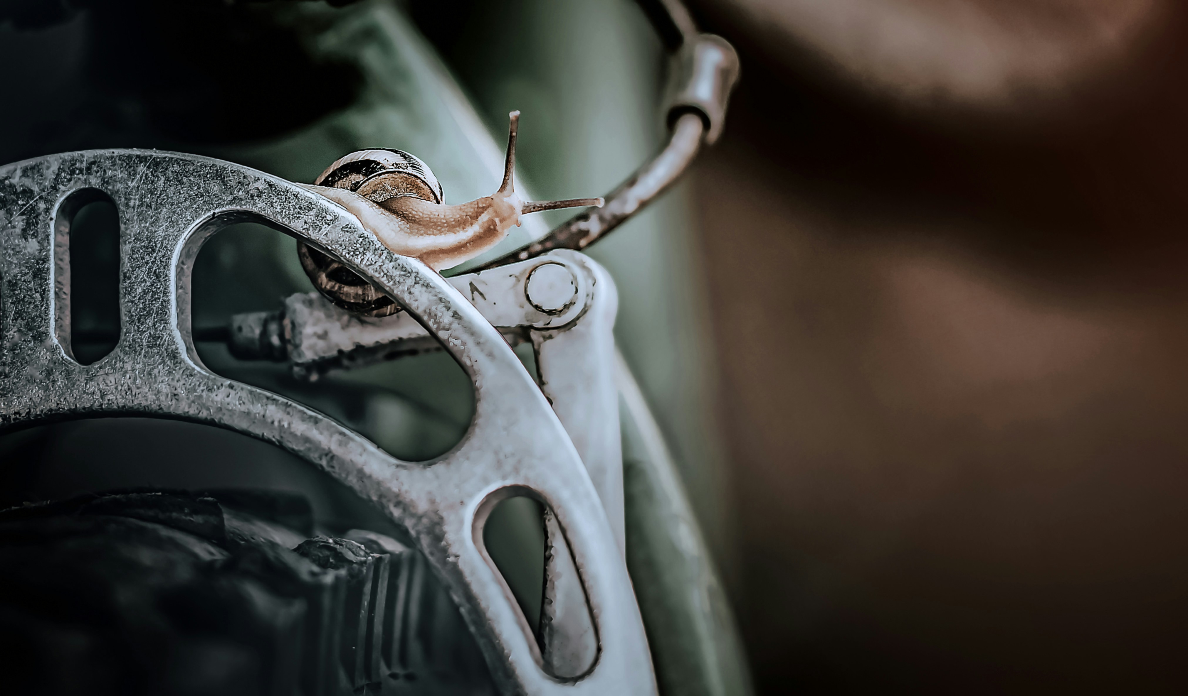 Photo by sylvester_s